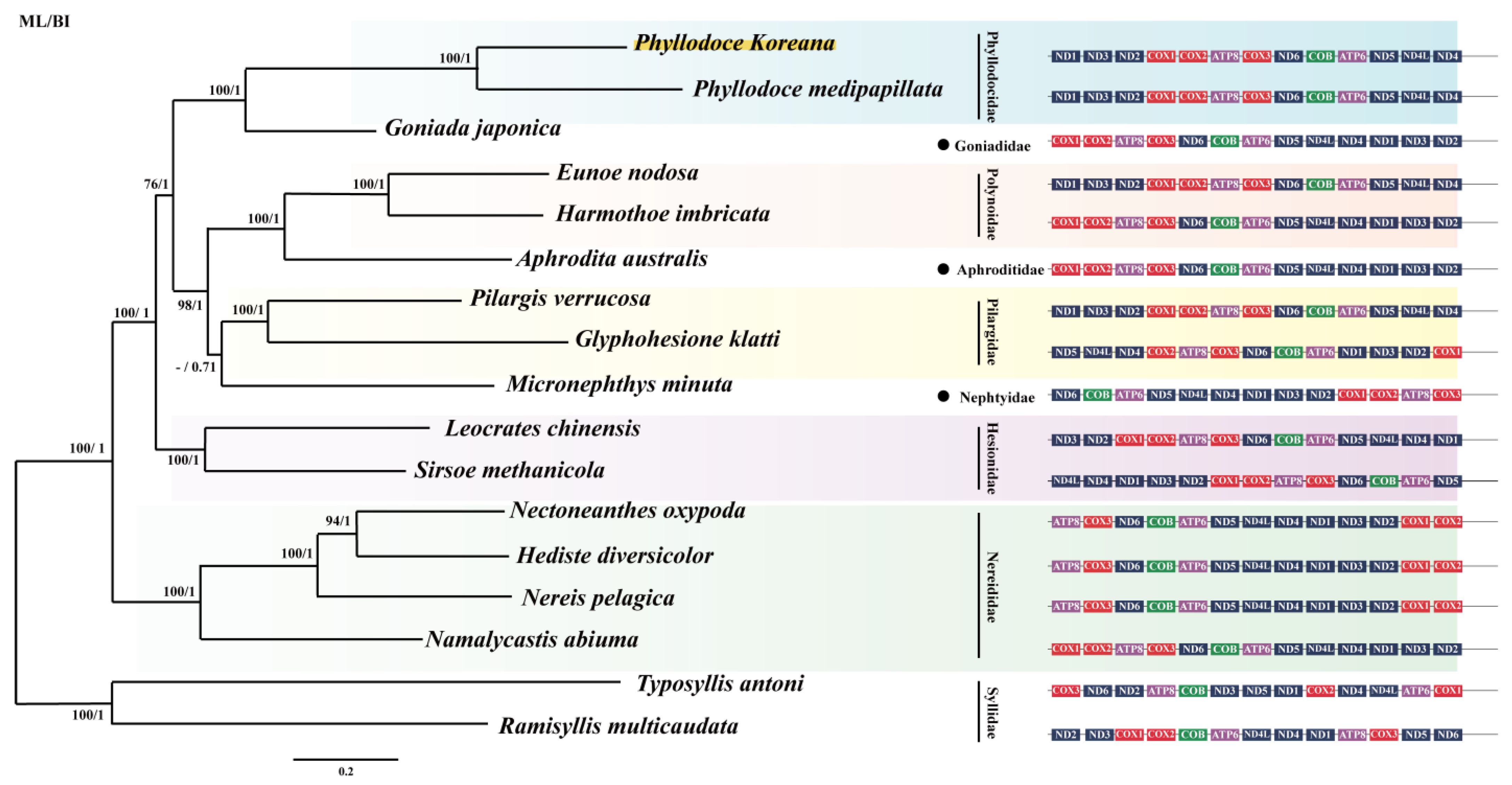 Jmse 13 00223 g004 Jmse 13 00223 g004
