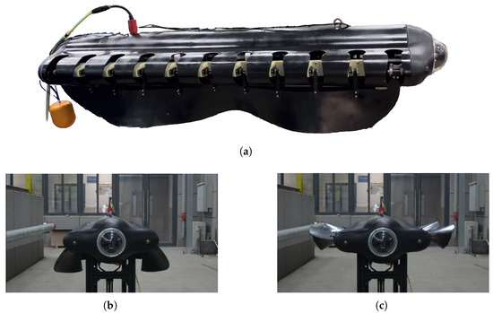 The Local Path Planning Algorithm for Amphibious Robots Based on an ...
