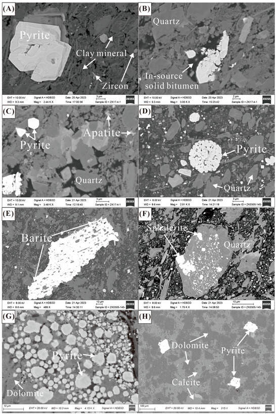 Mechanisms of Uranium and Thorium Accumulation in the Lower