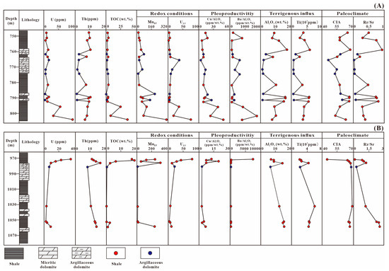 Mechanisms of Uranium and Thorium Accumulation in the Lower