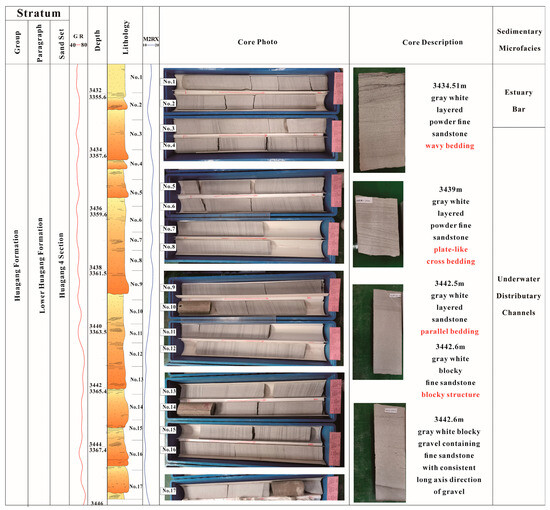Sediment Provenance and Facies Analysis of the Huagang