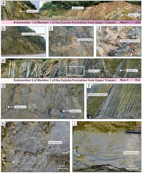 語学・辞書・学習参考書 Tectonics of Sedimentary Basins PDF) Tectonics of Sedimentary Basins
