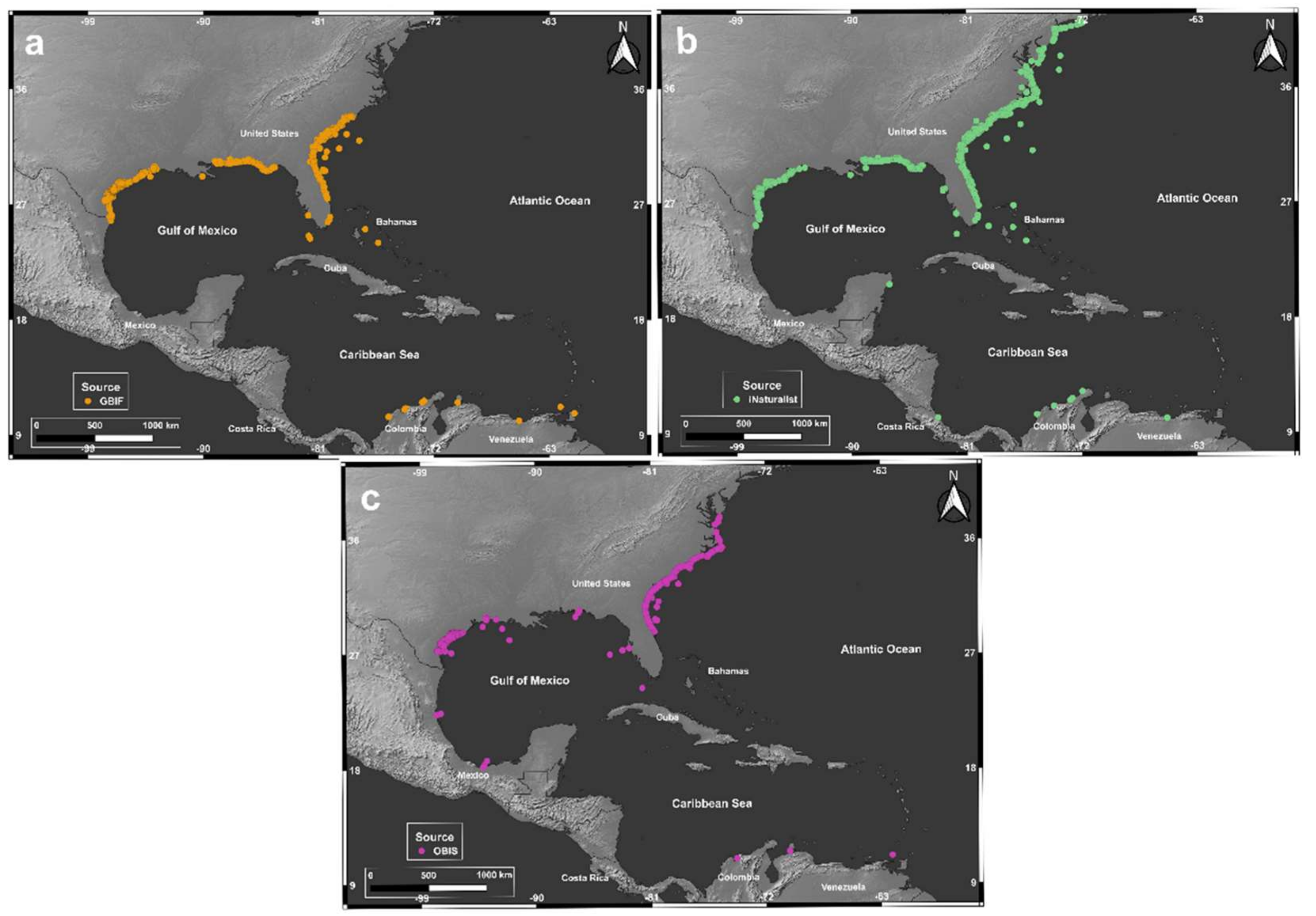 Jmse 13 00689 g002 Jmse 13 00689 g002