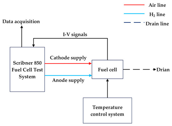 HAN HAN Numerical Analysis and Optimization of Secondary Flow