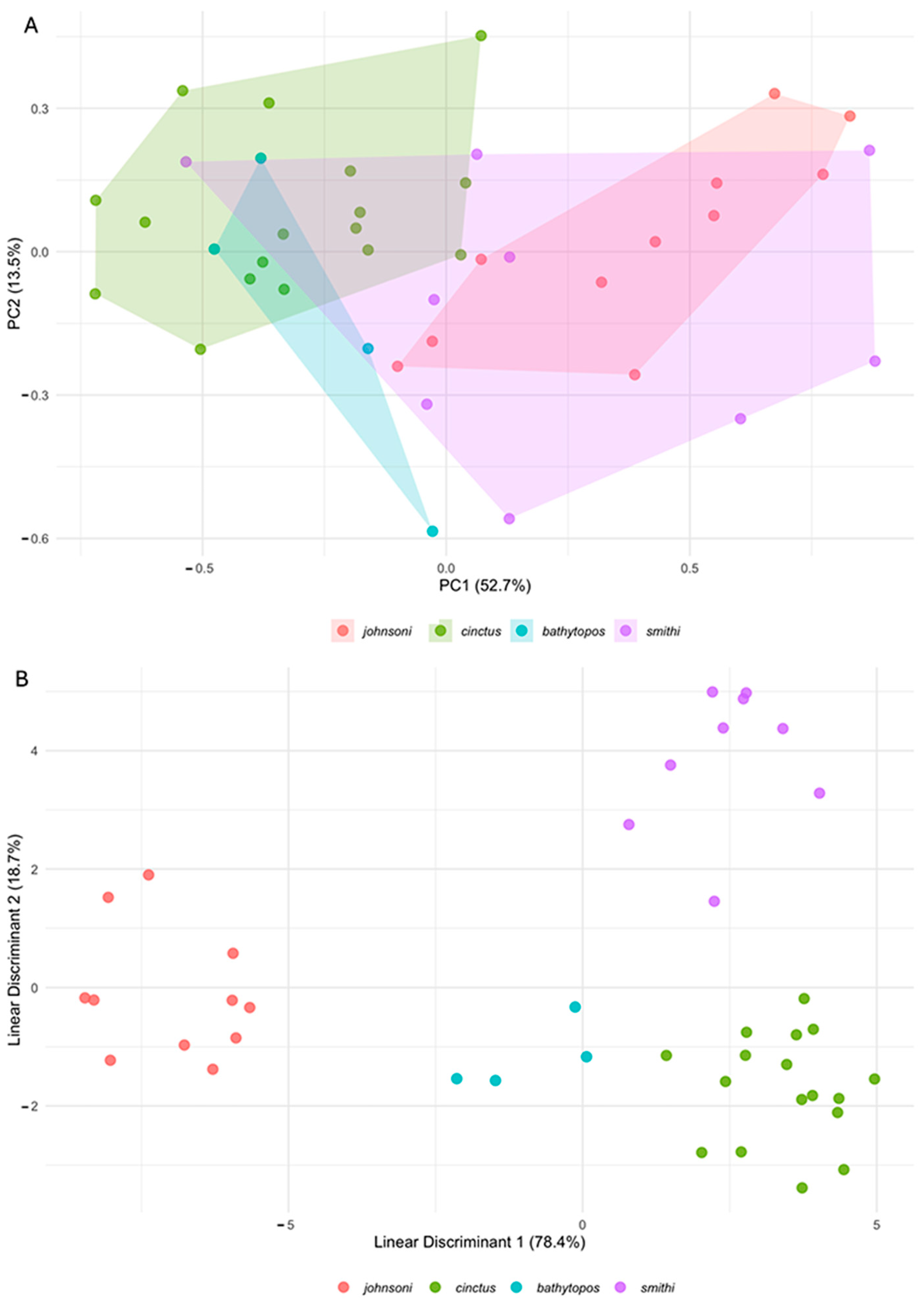 Jmse 13 00772 g004 Jmse 13 00772 g004