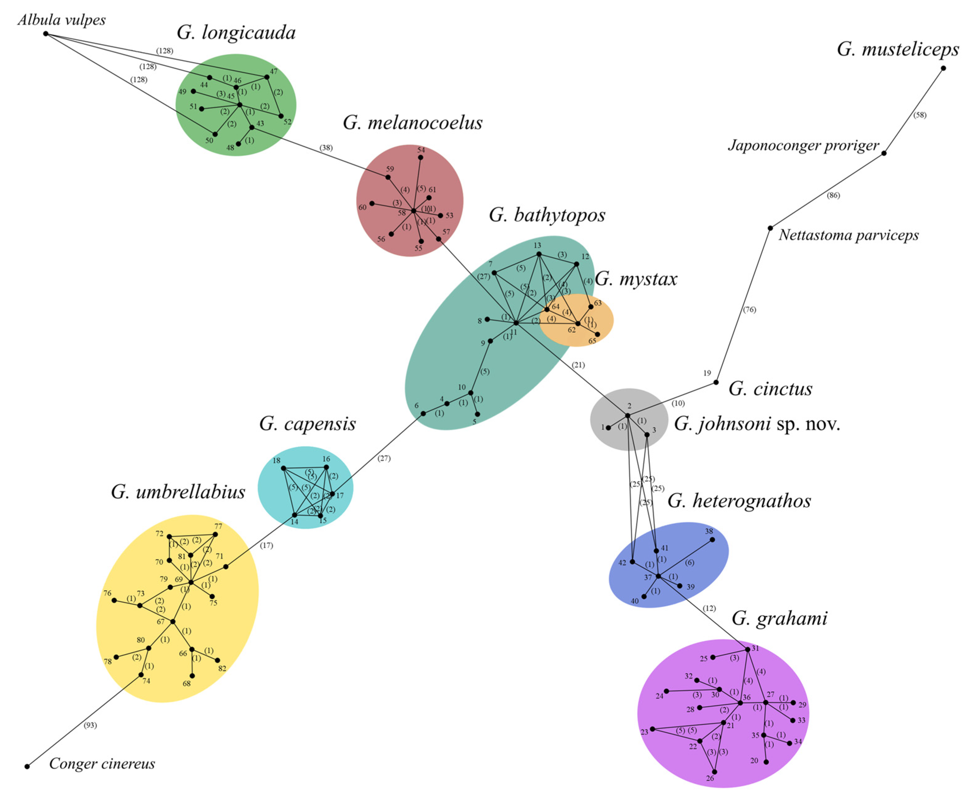 Jmse 13 00772 g005 Jmse 13 00772 g005