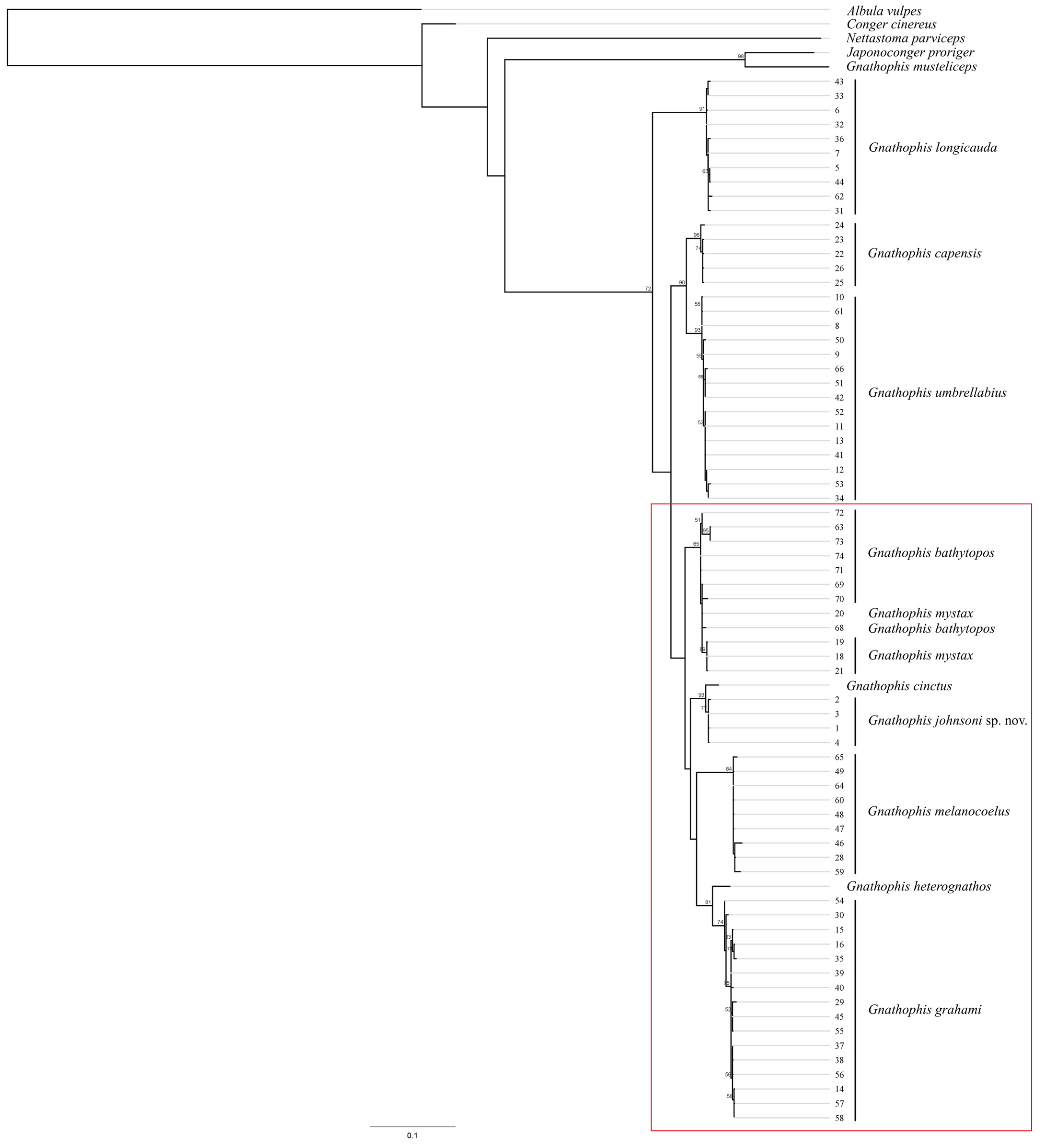 Jmse 13 00772 g006 Jmse 13 00772 g006
