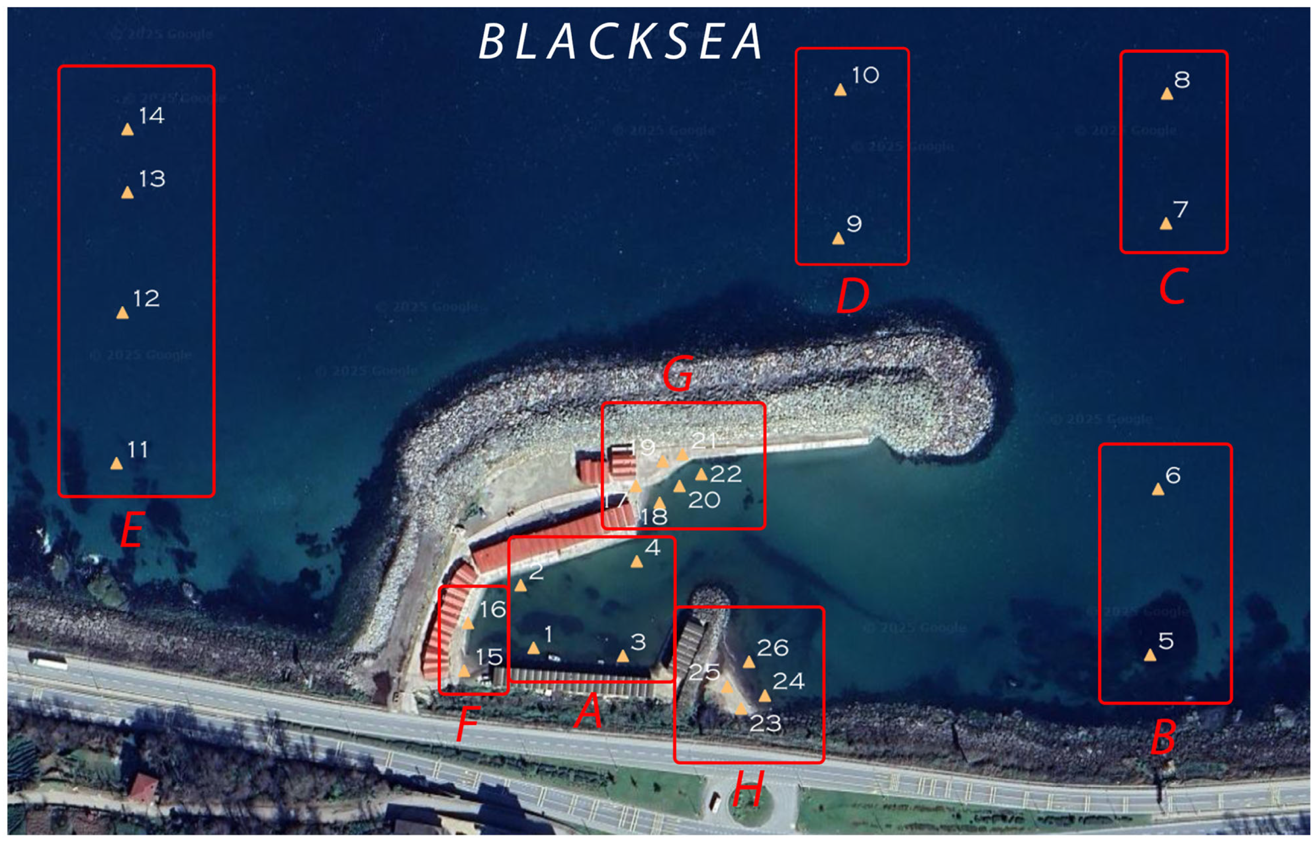 Jmse 13 00779 g005 Jmse 13 00779 g005