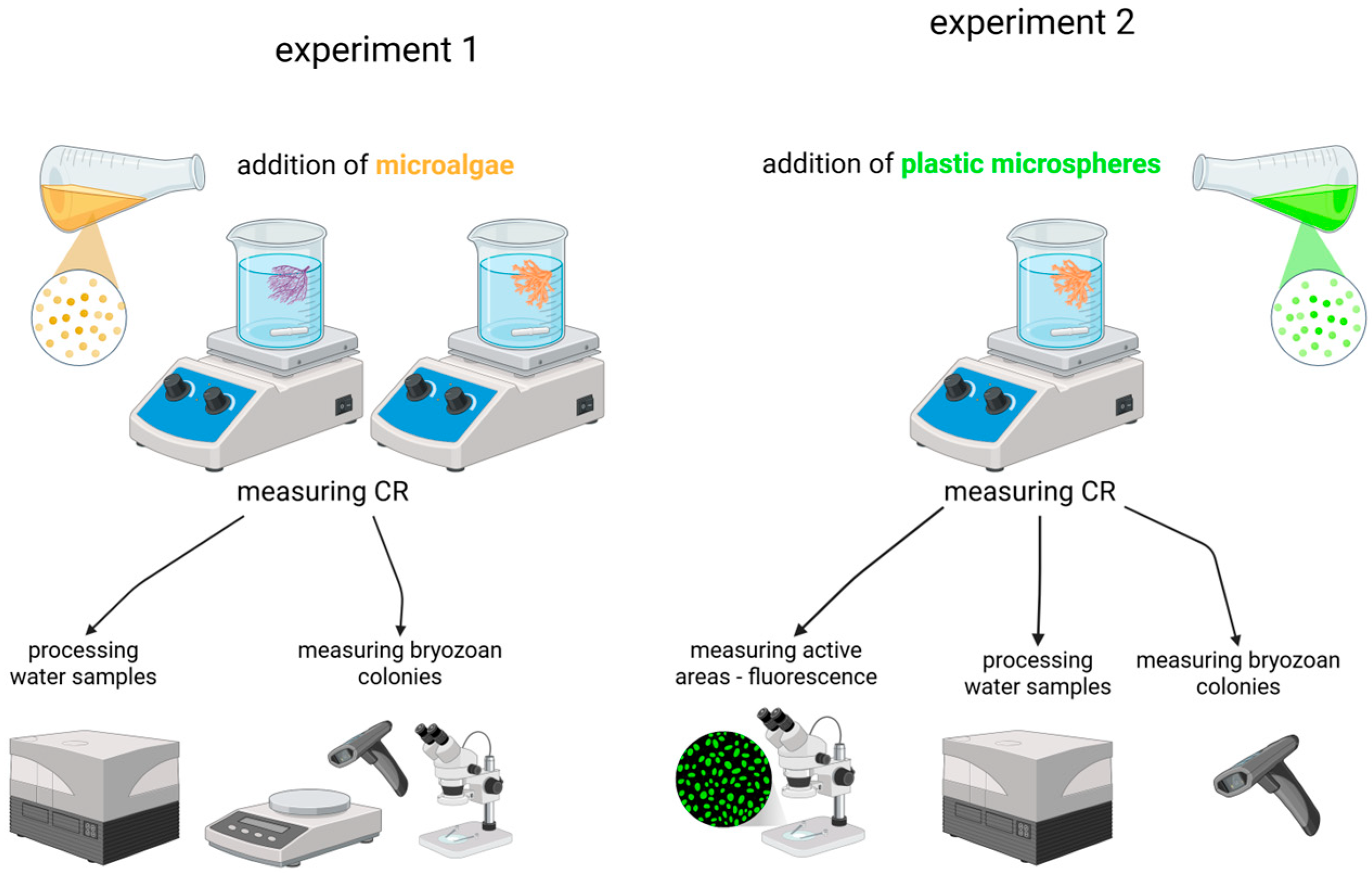 Jmse 13 01052 g003 Jmse 13 01052 g003