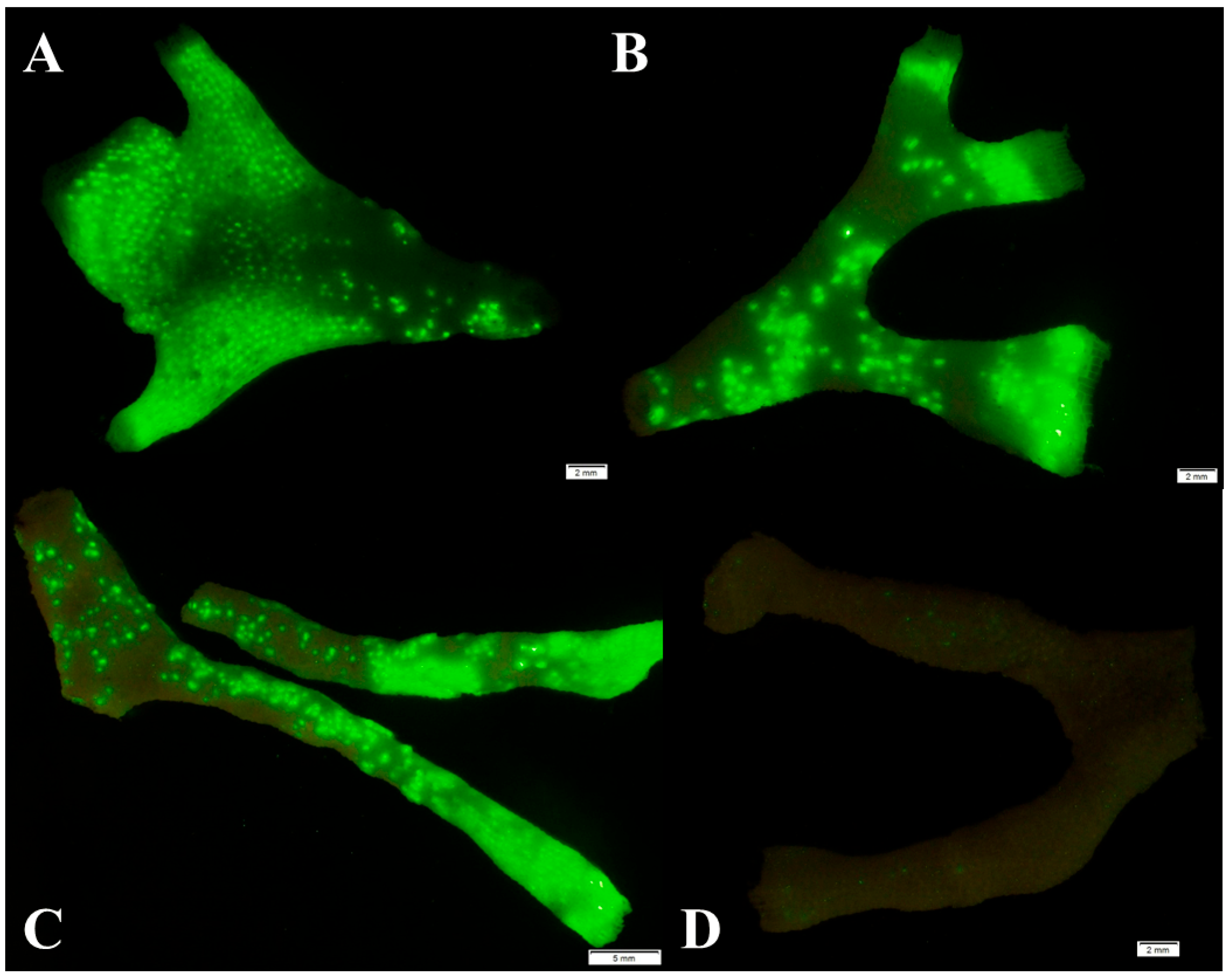 Jmse 13 01052 g008 Jmse 13 01052 g008