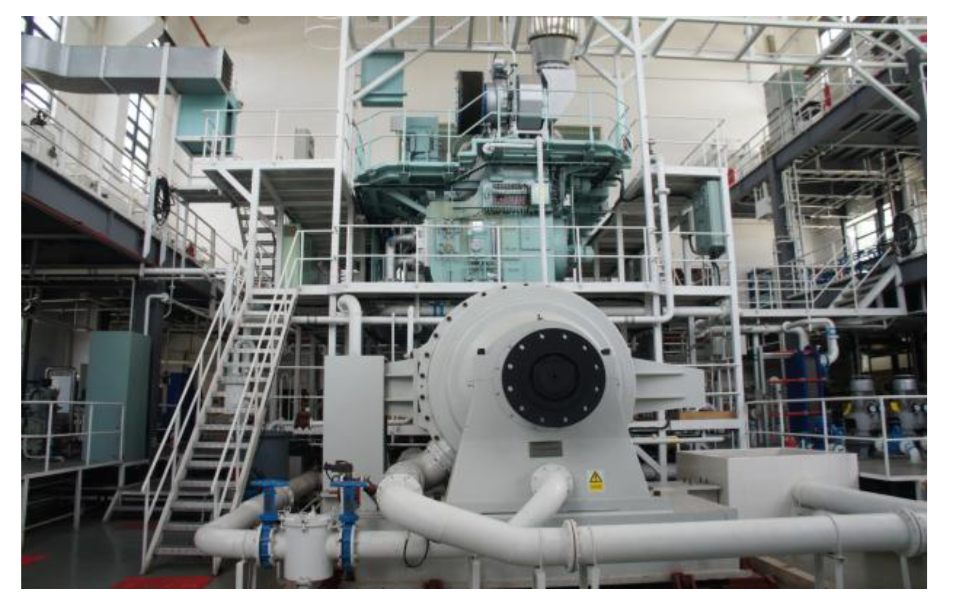Impact of High-Concentration Biofuels on Cylinder