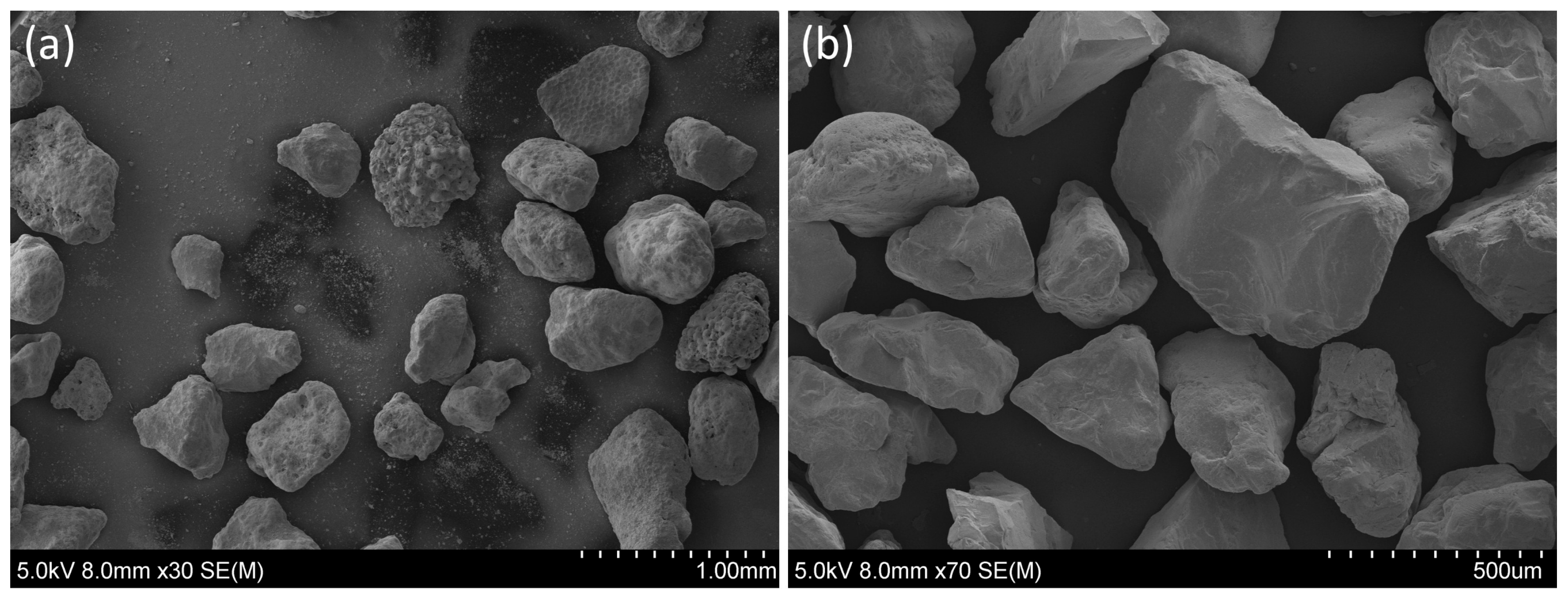 Jmse 13 01255 g001 Jmse 13 01255 g001