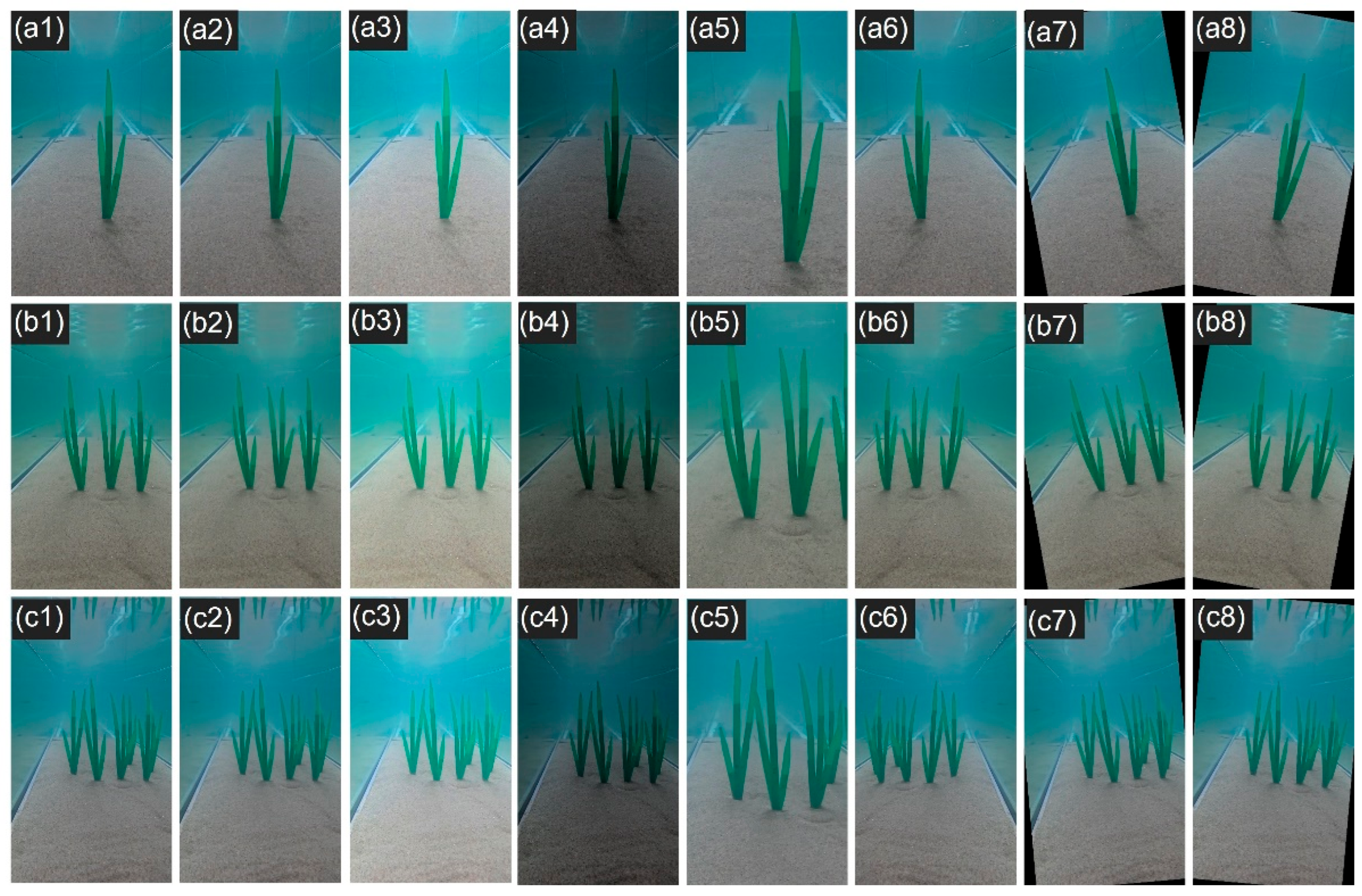 Jmse 13 01262 g003 Jmse 13 01262 g003