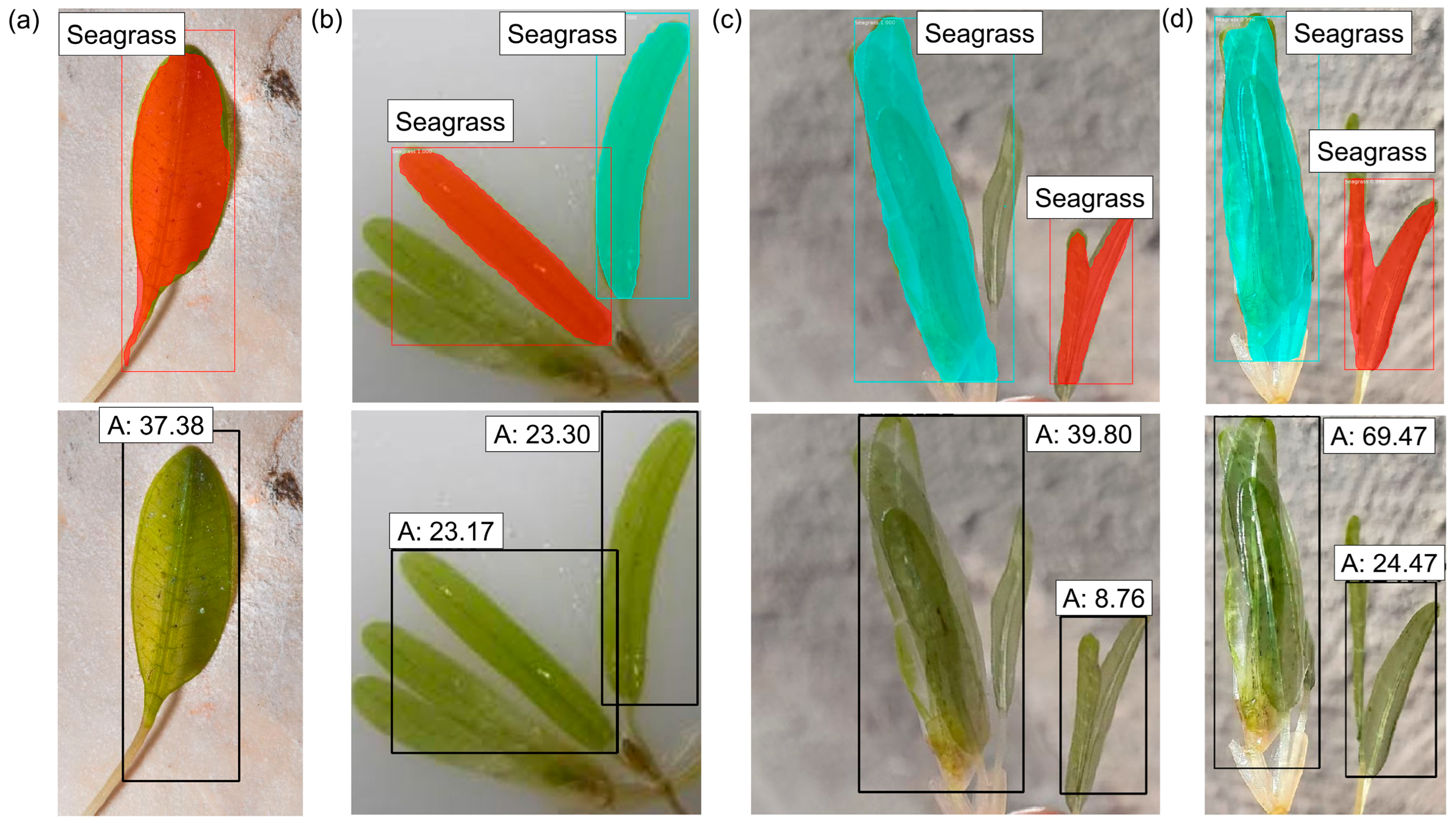 Jmse 13 01262 g016 Jmse 13 01262 g016