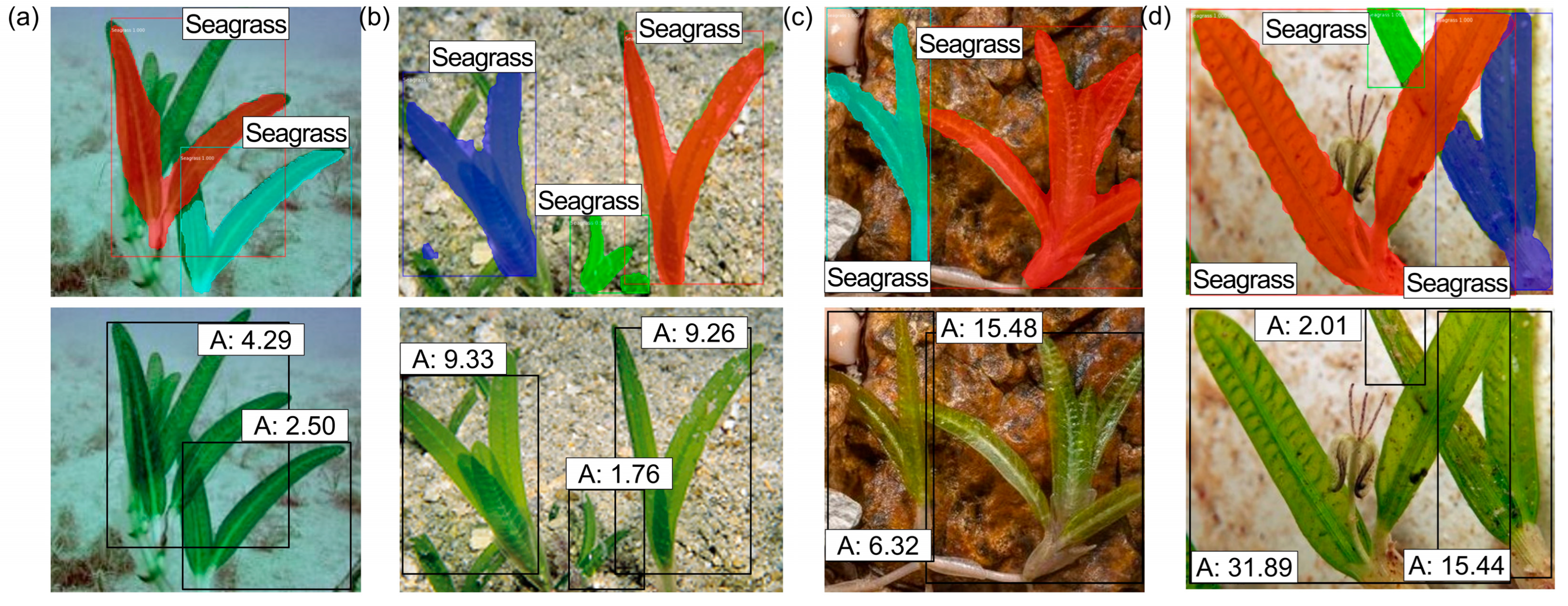 Jmse 13 01262 g017 Jmse 13 01262 g017