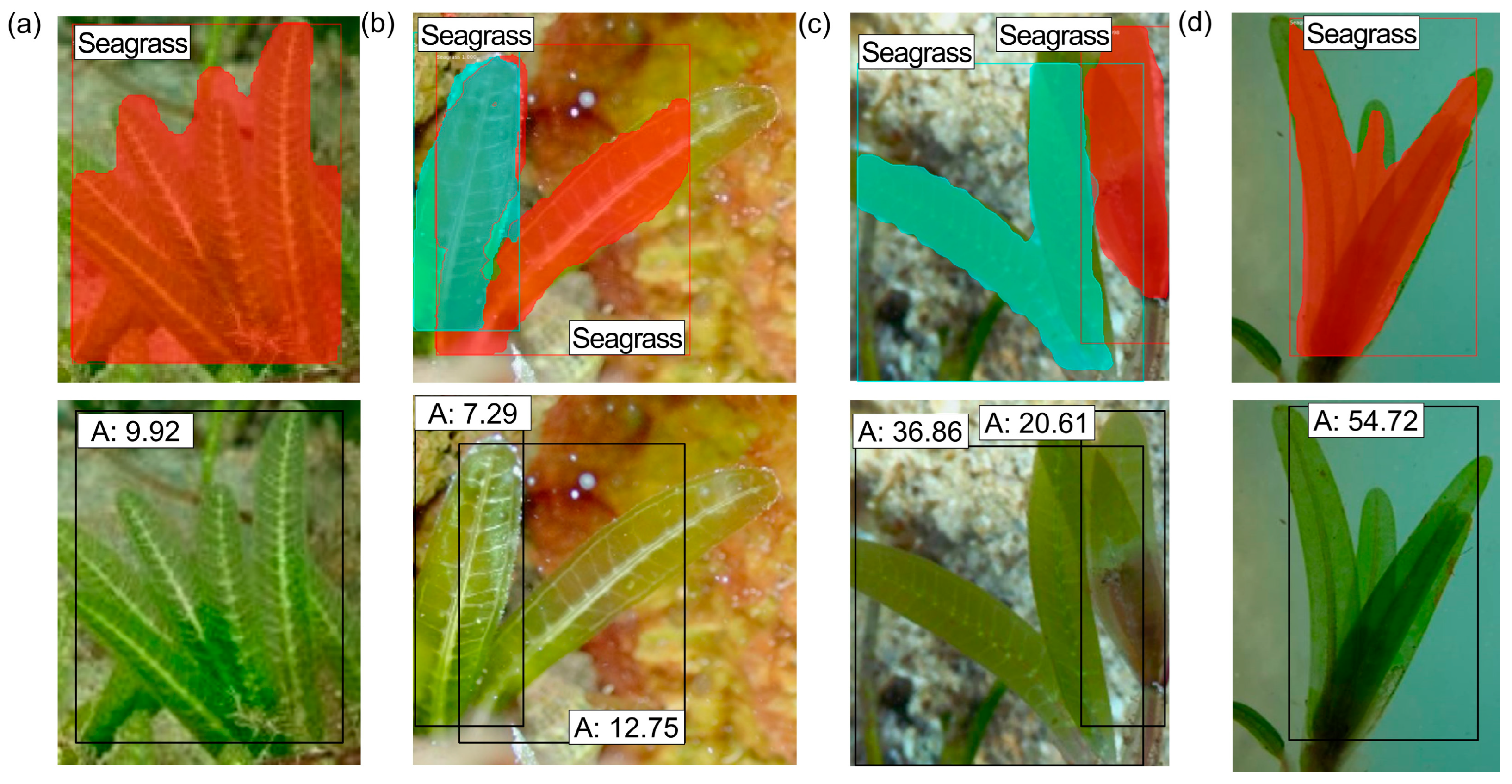 Jmse 13 01262 g018 Jmse 13 01262 g018