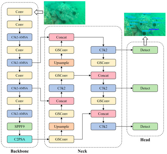 AGS-YOLO: An Efficient Underwater Small-Object Detection