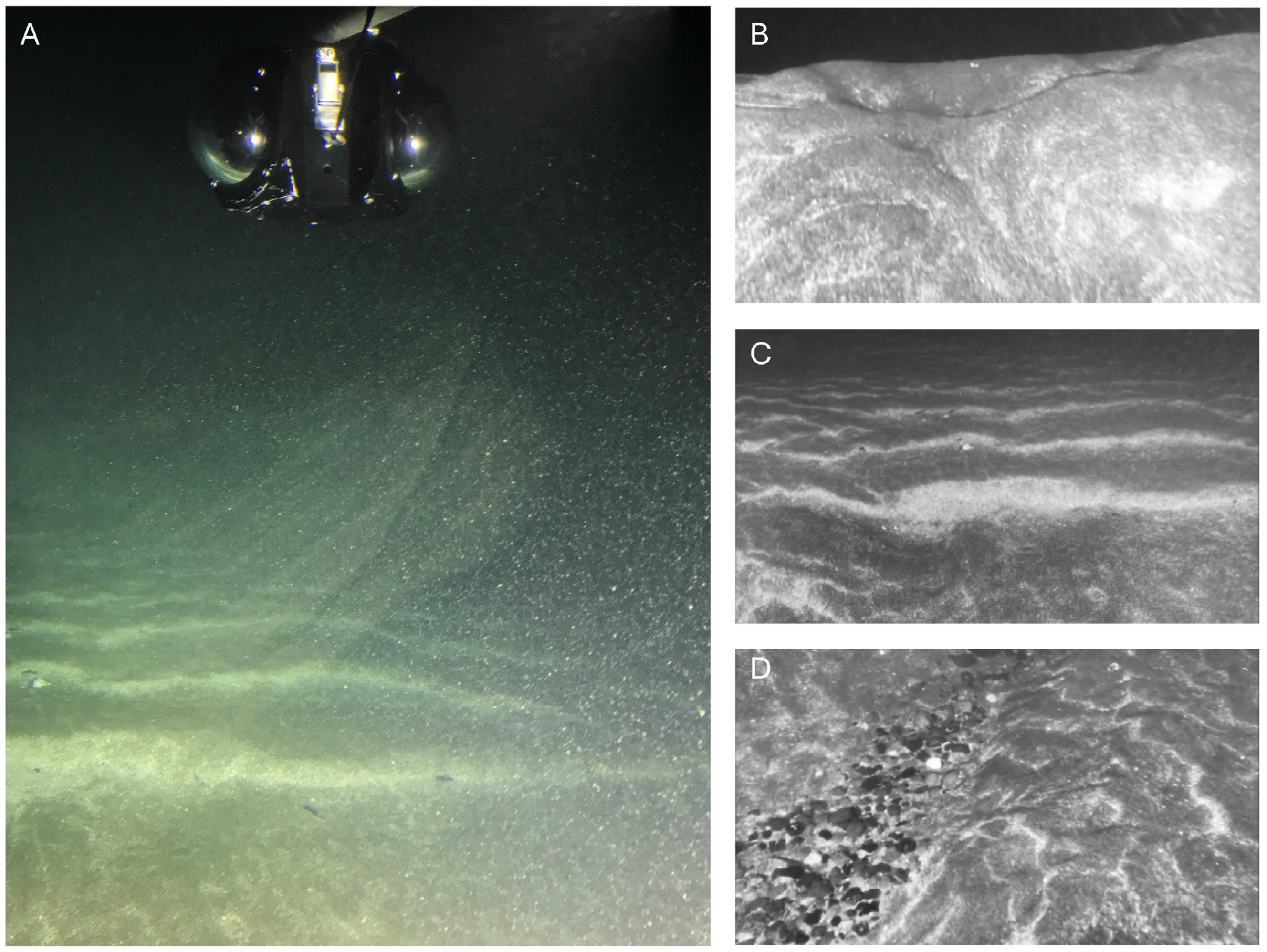 Jmse 13 01469 g007 Jmse 13 01469 g007