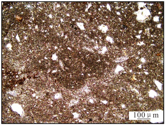 Jmse 13 01472 i003