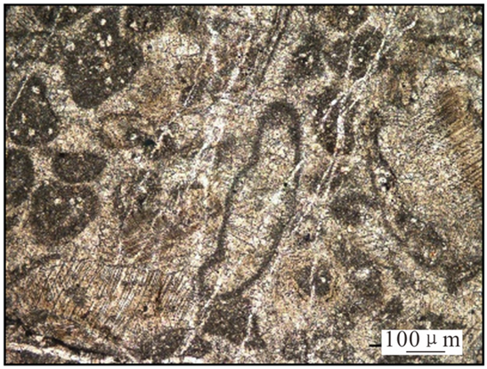 Jmse 13 01472 i004