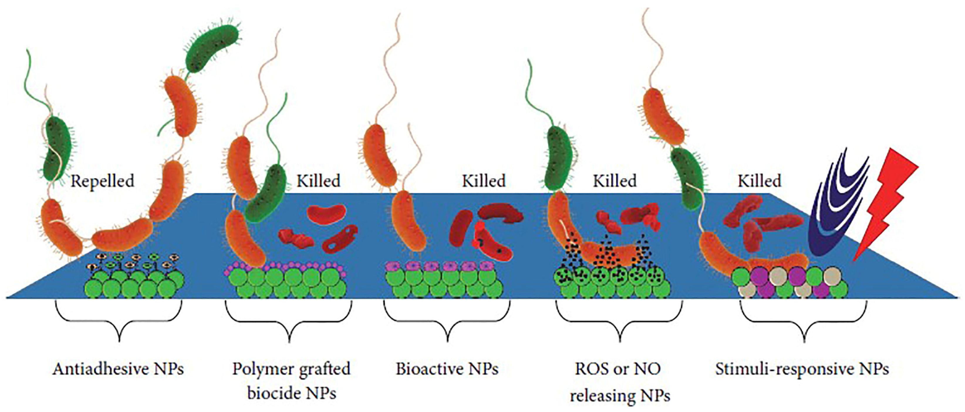 Jmse 13 01509 g018 Jmse 13 01509 g018