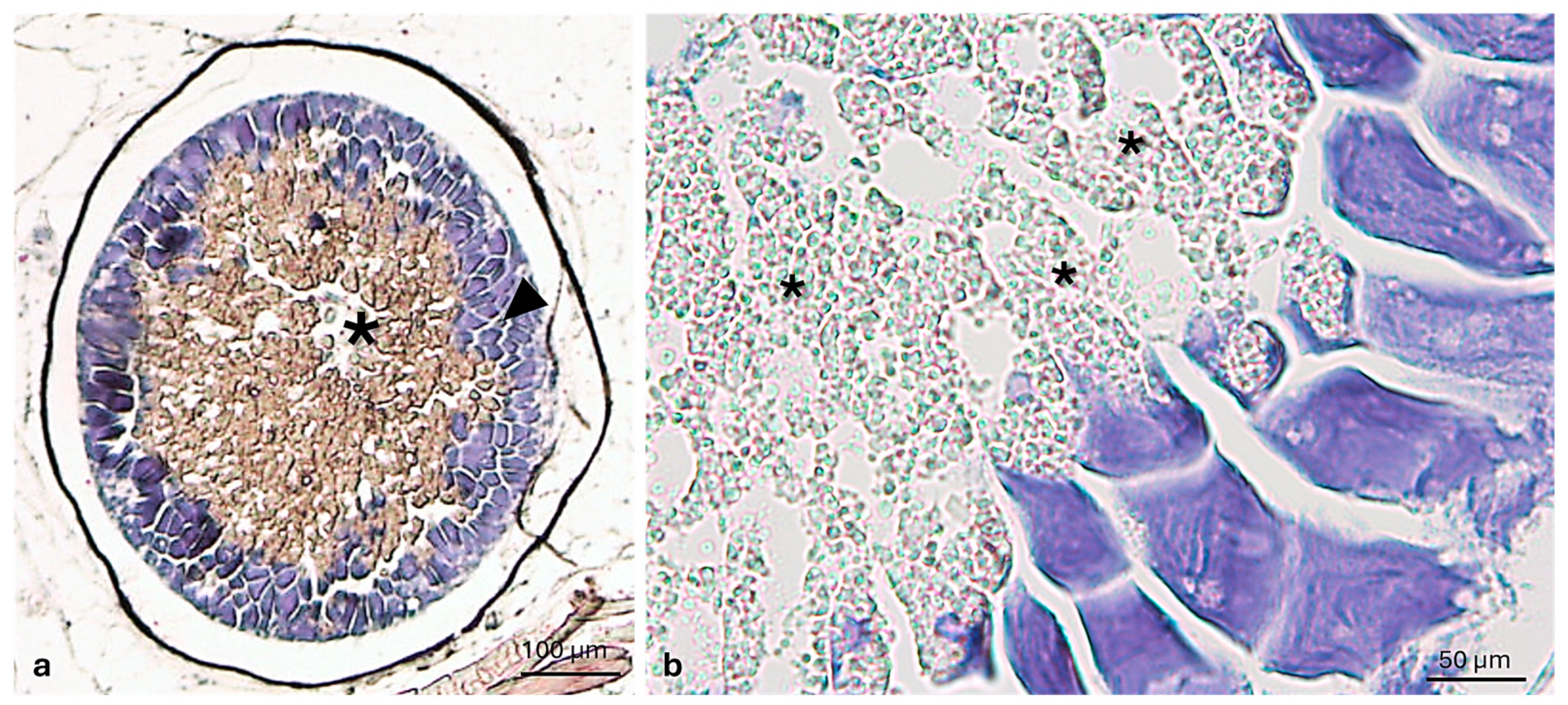 Jmse 13 01534 g003 Jmse 13 01534 g003
