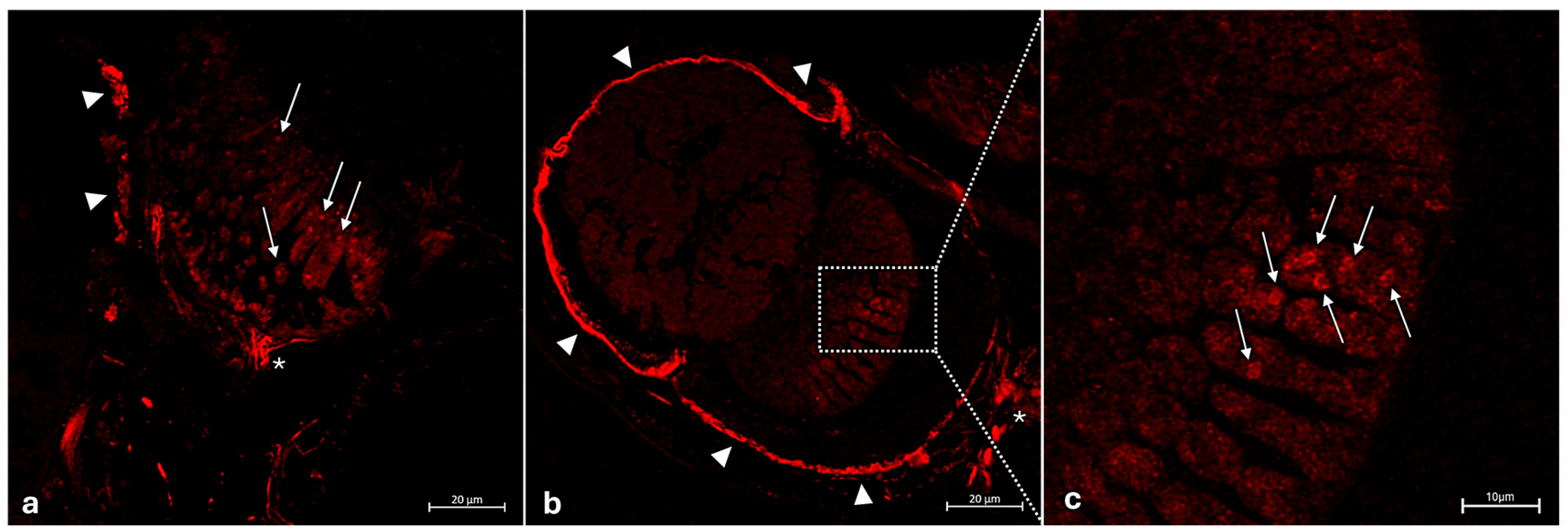 Jmse 13 01534 g006 Jmse 13 01534 g006