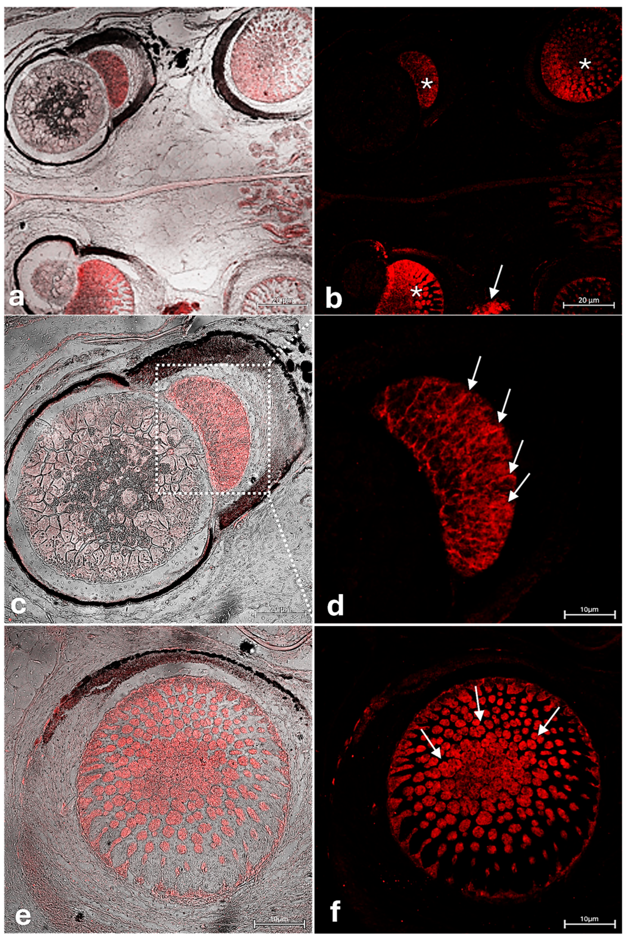 Jmse 13 01534 g007 Jmse 13 01534 g007