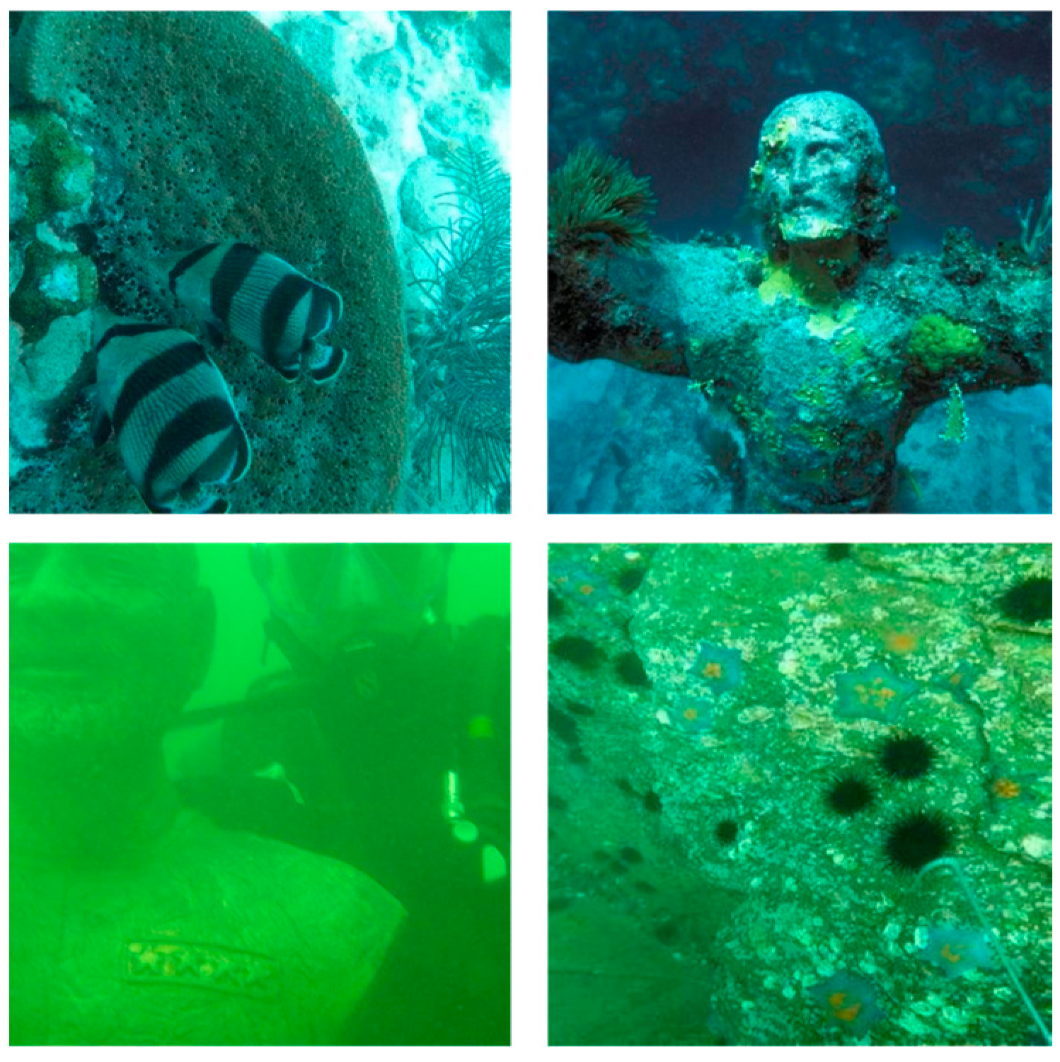 Jmse 13 01546 g001 Jmse 13 01546 g001