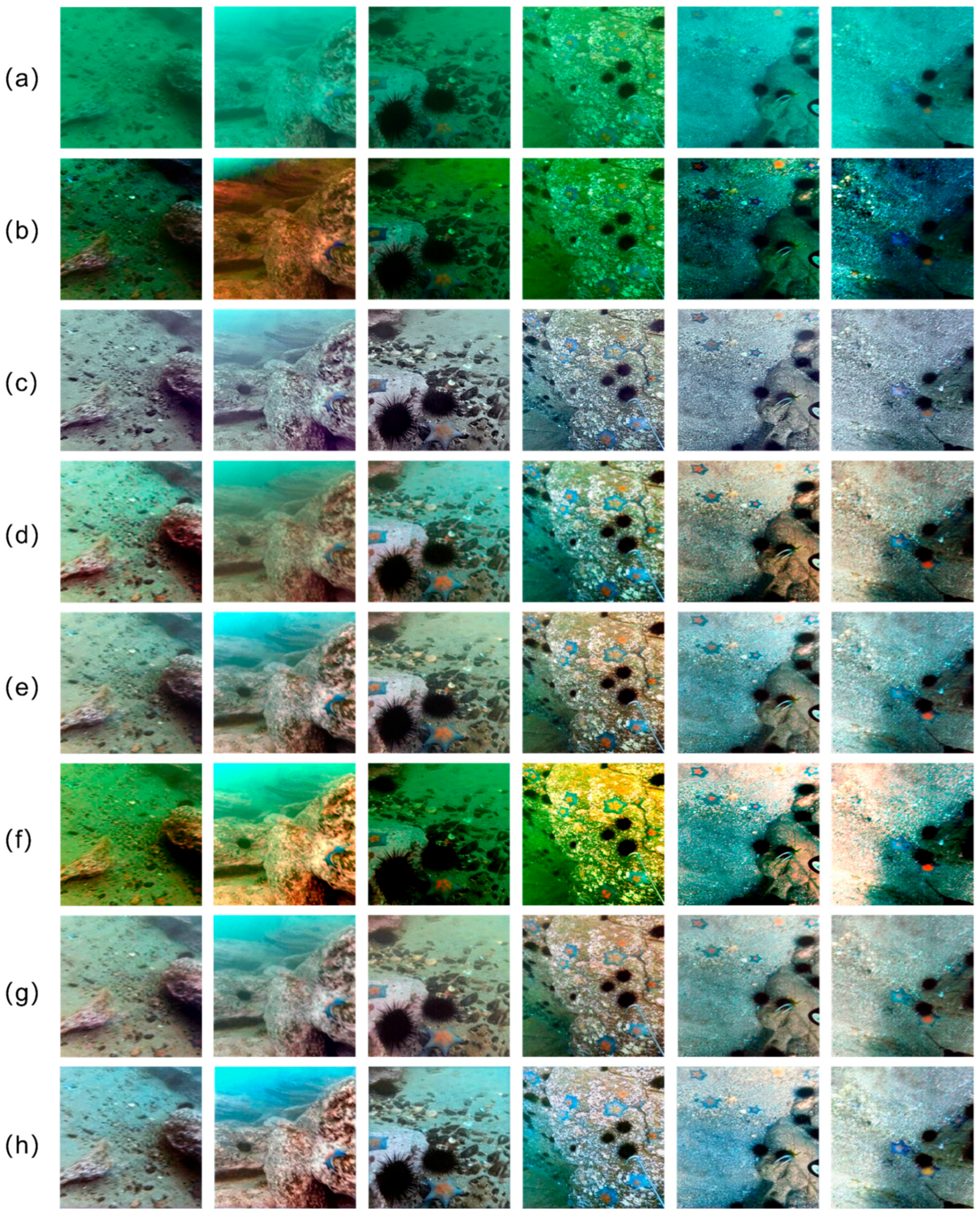 Jmse 13 01546 g008 Jmse 13 01546 g008