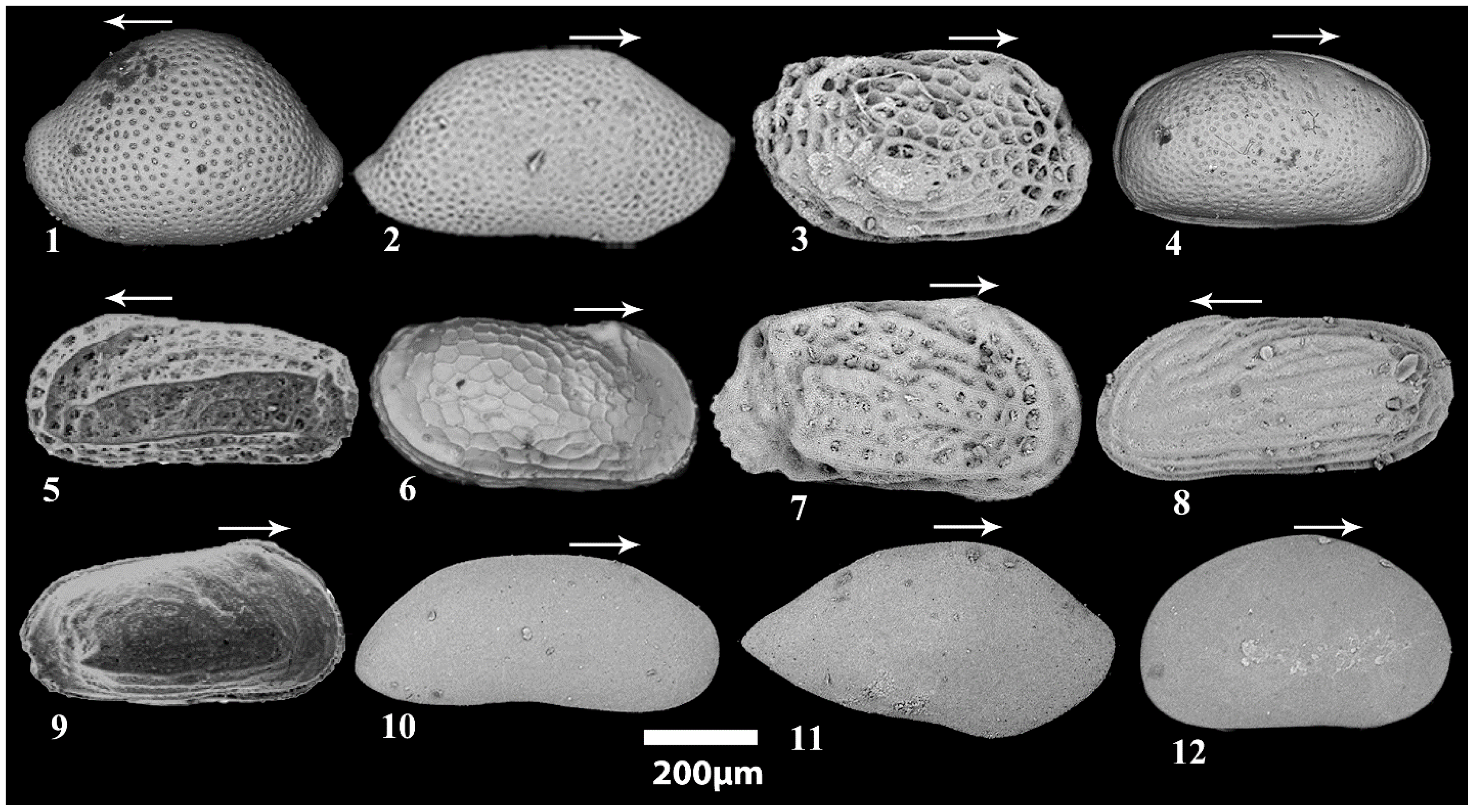 Jmse 13 01555 g002 Jmse 13 01555 g002