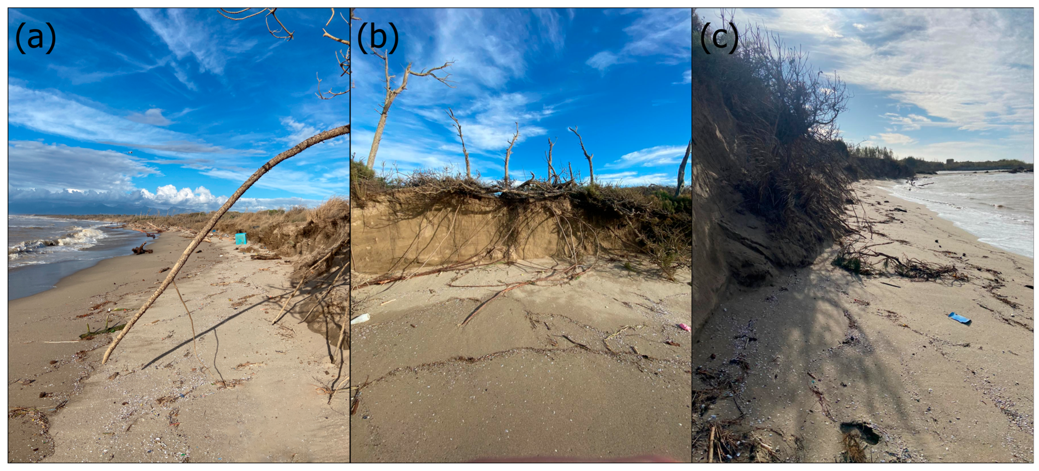 Jmse 13 01568 g006 Jmse 13 01568 g006