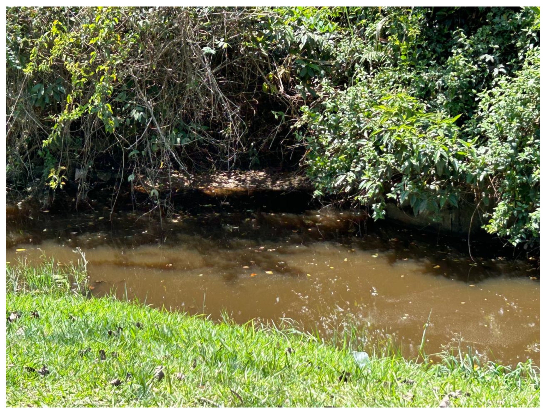 Jmse 13 01575 sch001