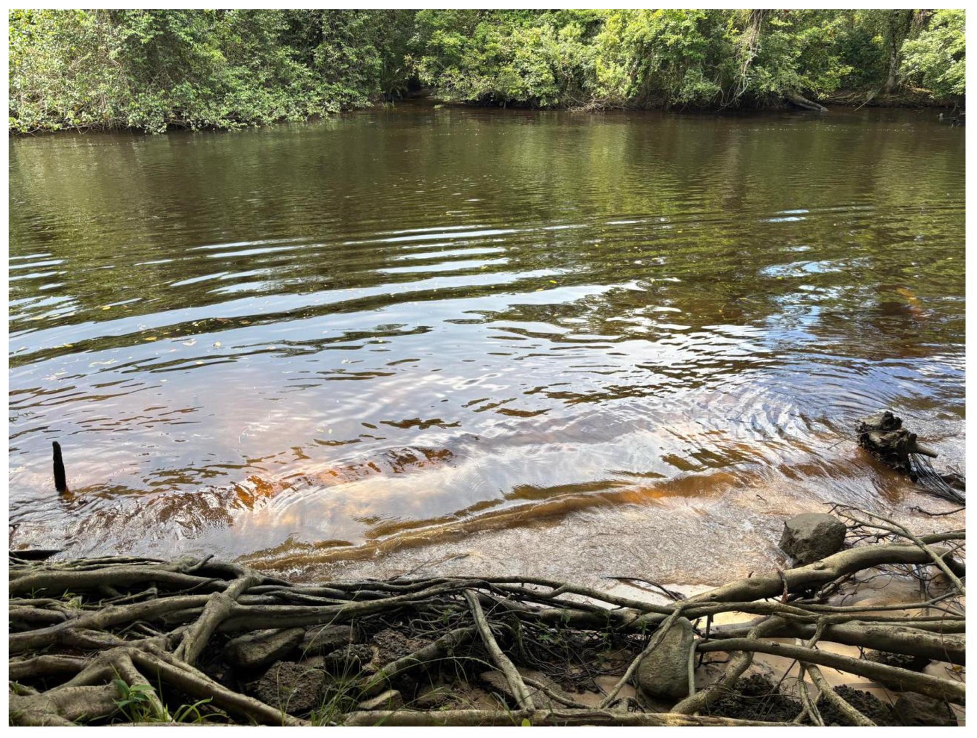 Jmse 13 01575 sch003