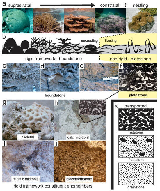 Australia's Two Great Barrier Reefs: What Can ~360 Million