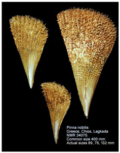 Jmse 13 01693 i010 Jmse 13 01693 i010