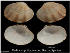 Jmse 13 01693 i013 Jmse 13 01693 i013