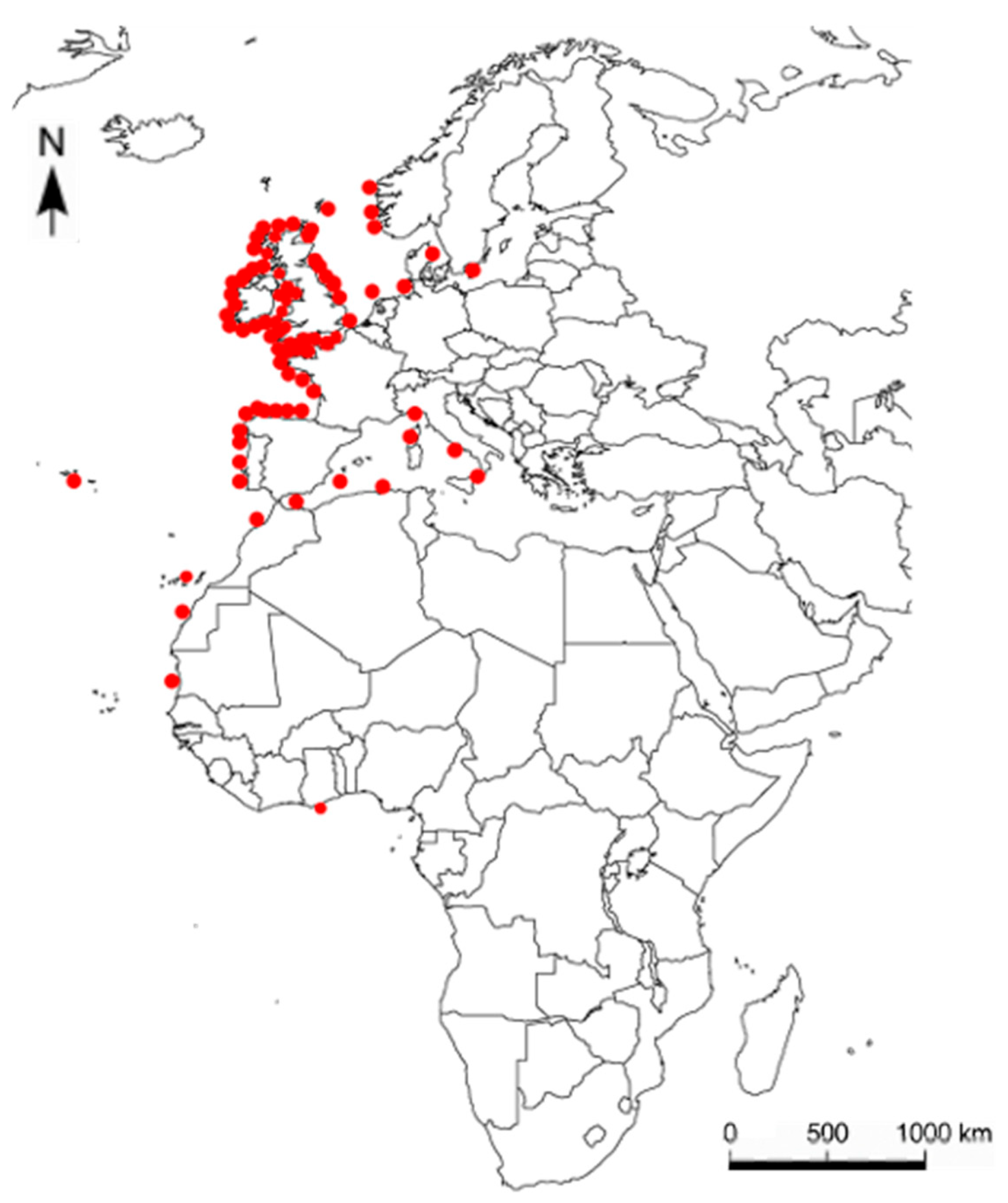 Jmse 13 01694 g002 Jmse 13 01694 g002