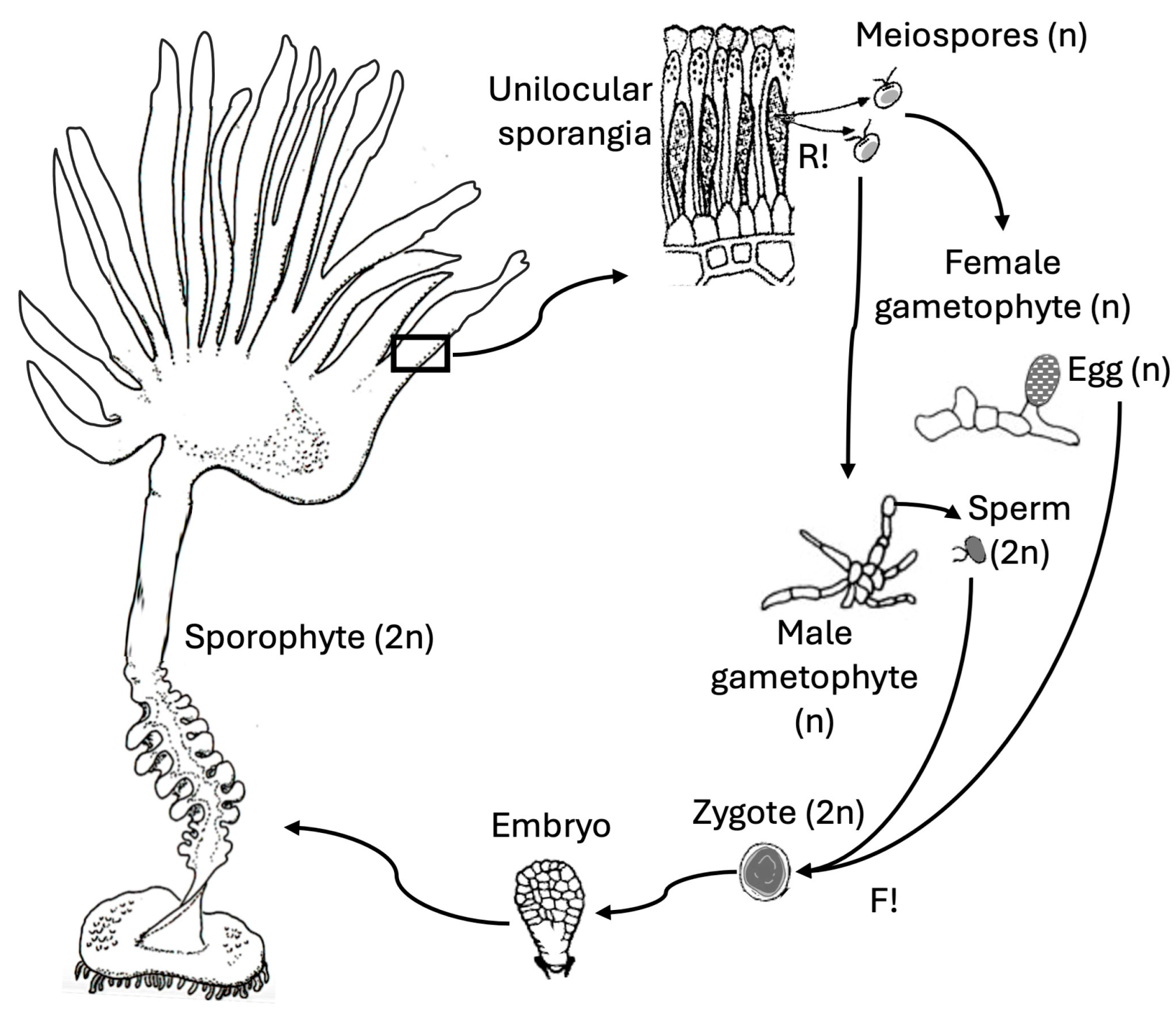 Jmse 13 01694 g004 Jmse 13 01694 g004