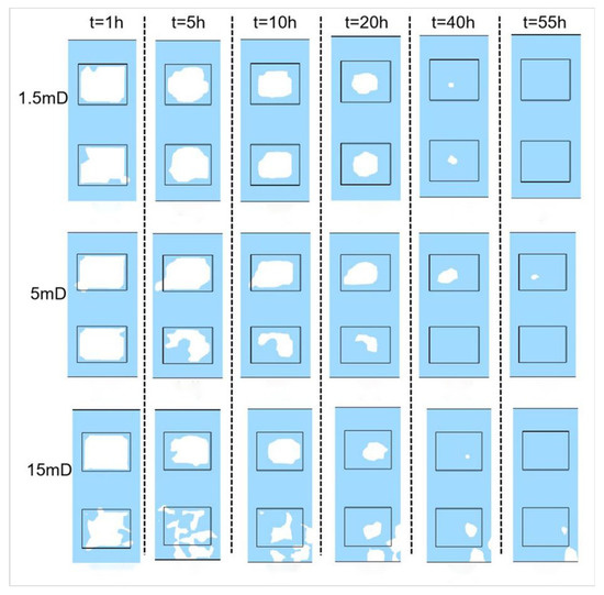 The Numerical Evaluation of Hydrate Saturation in Marine Sediment
