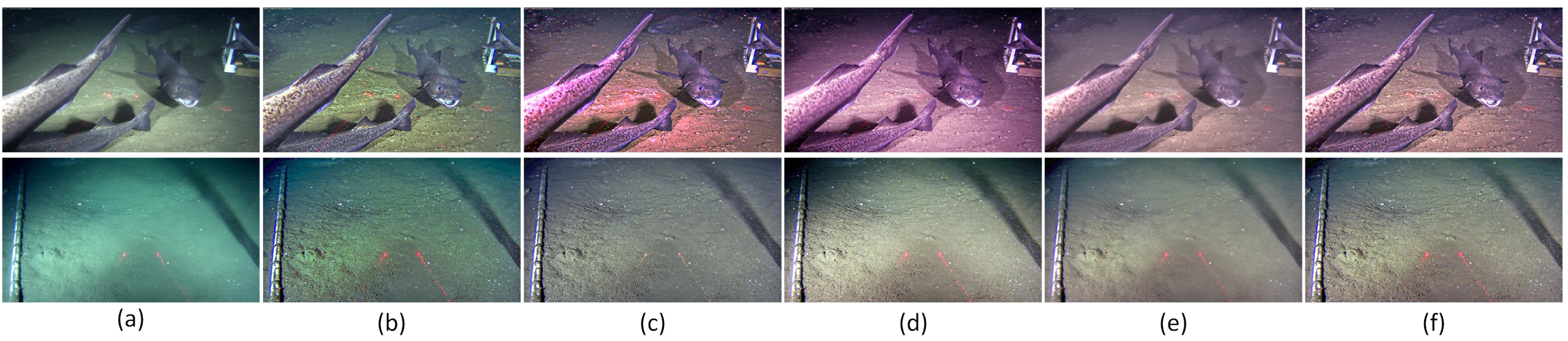 Jmse 13 01820 g008 Jmse 13 01820 g008