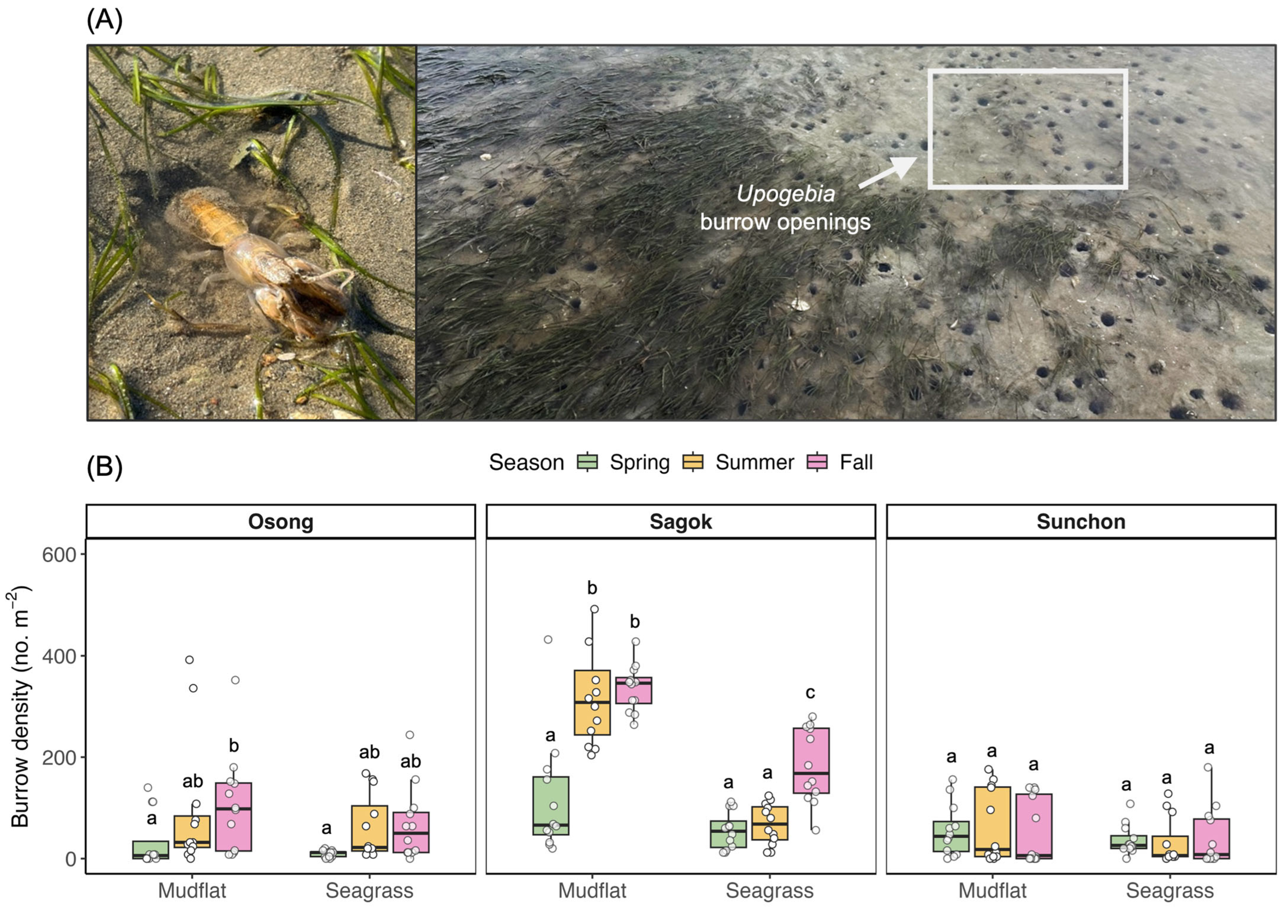 Jmse 13 01824 g002 Jmse 13 01824 g002