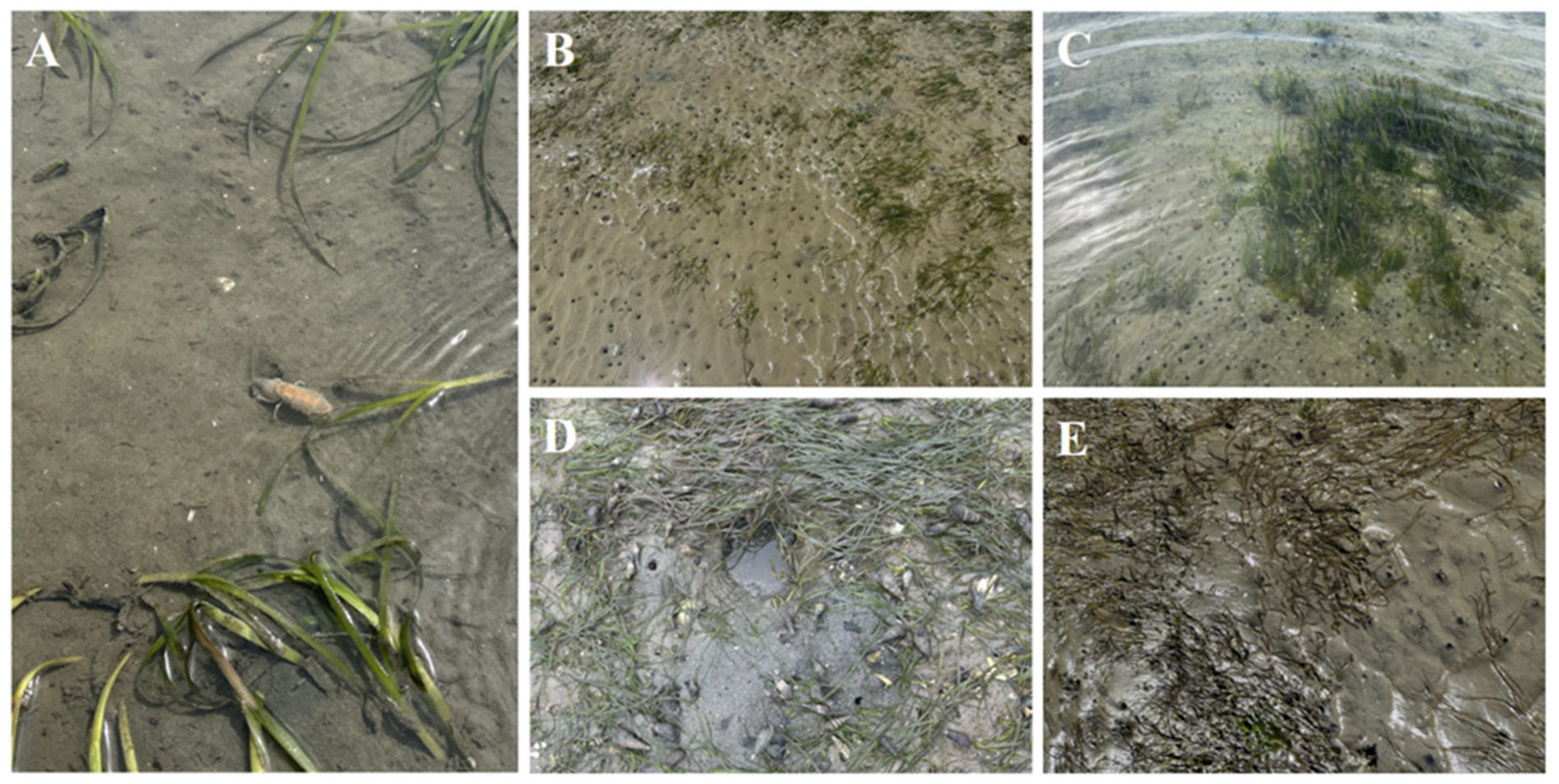 Jmse 13 01824 g0a1 Jmse 13 01824 g0a1