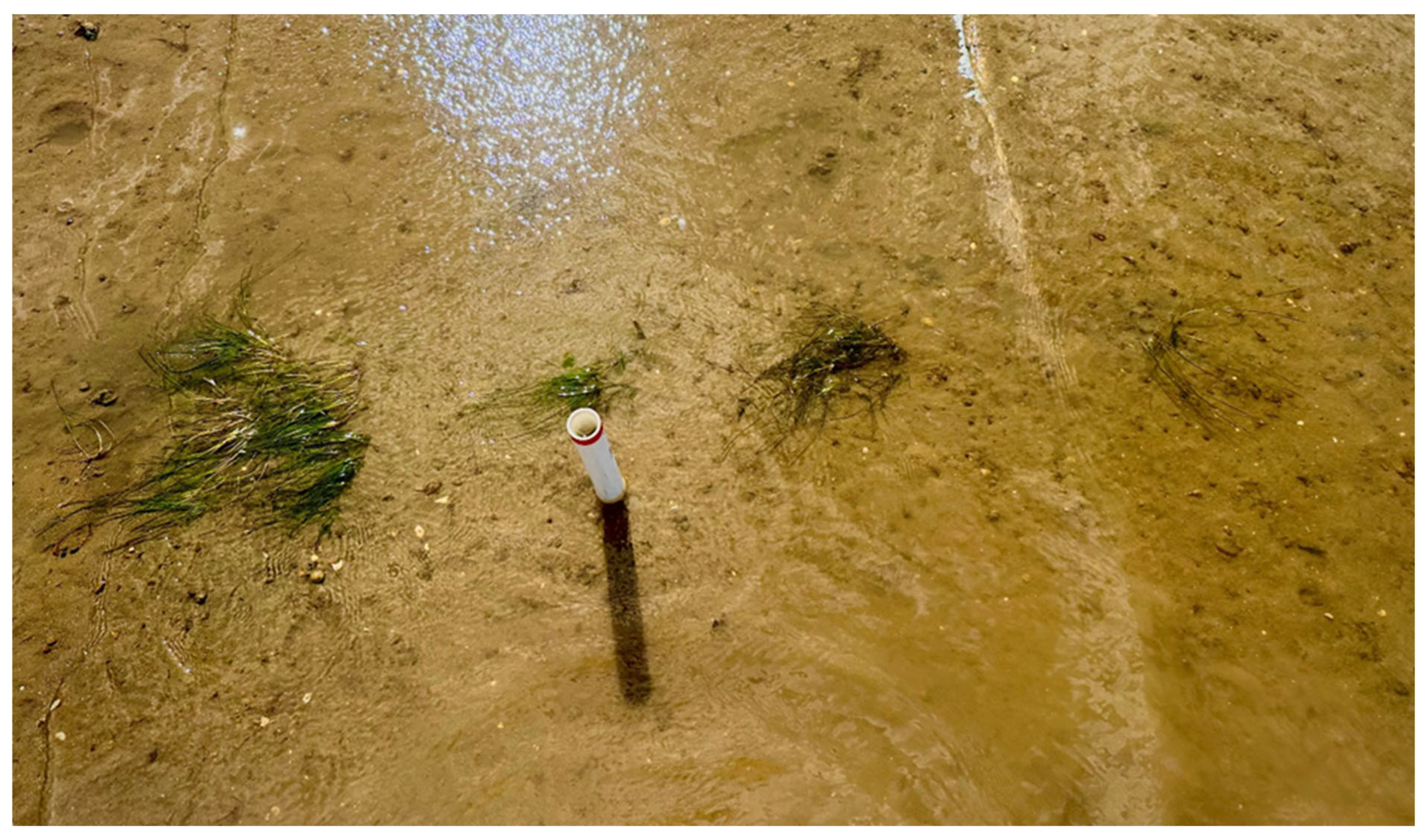 Jmse 13 01824 g0a3 Jmse 13 01824 g0a3