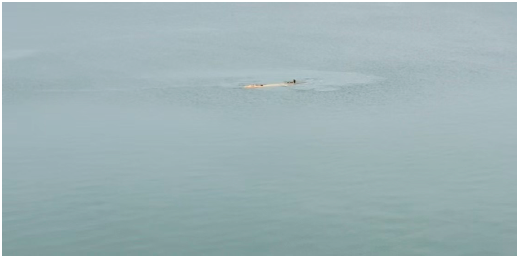 Jmse 13 01861 g023 Jmse 13 01861 g023