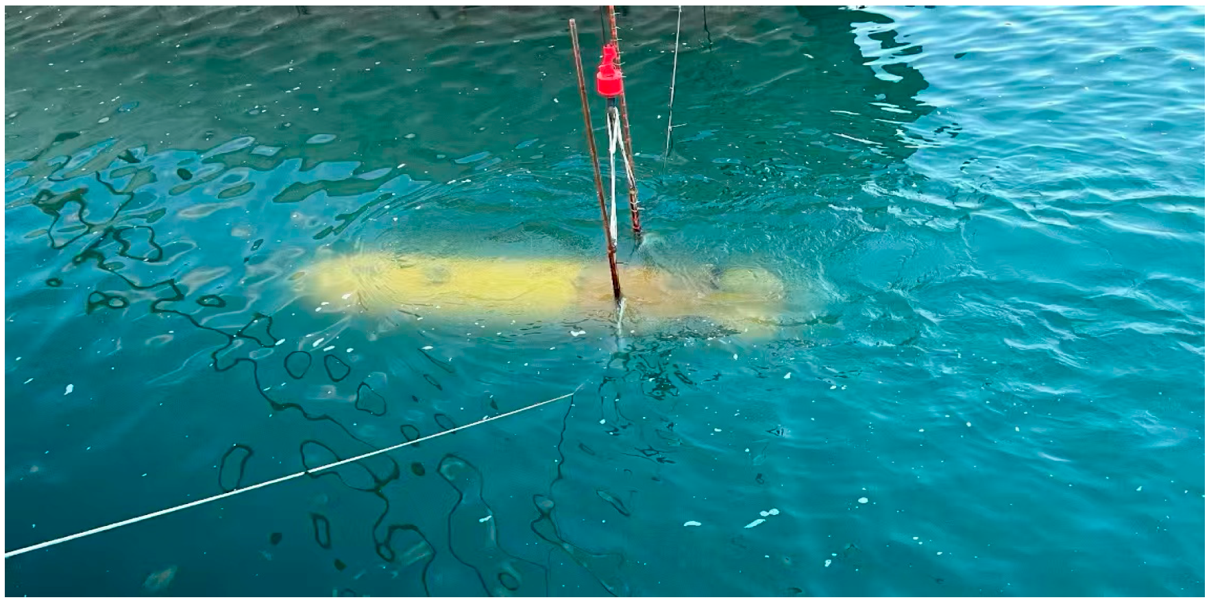 Jmse 13 01861 g024 Jmse 13 01861 g024