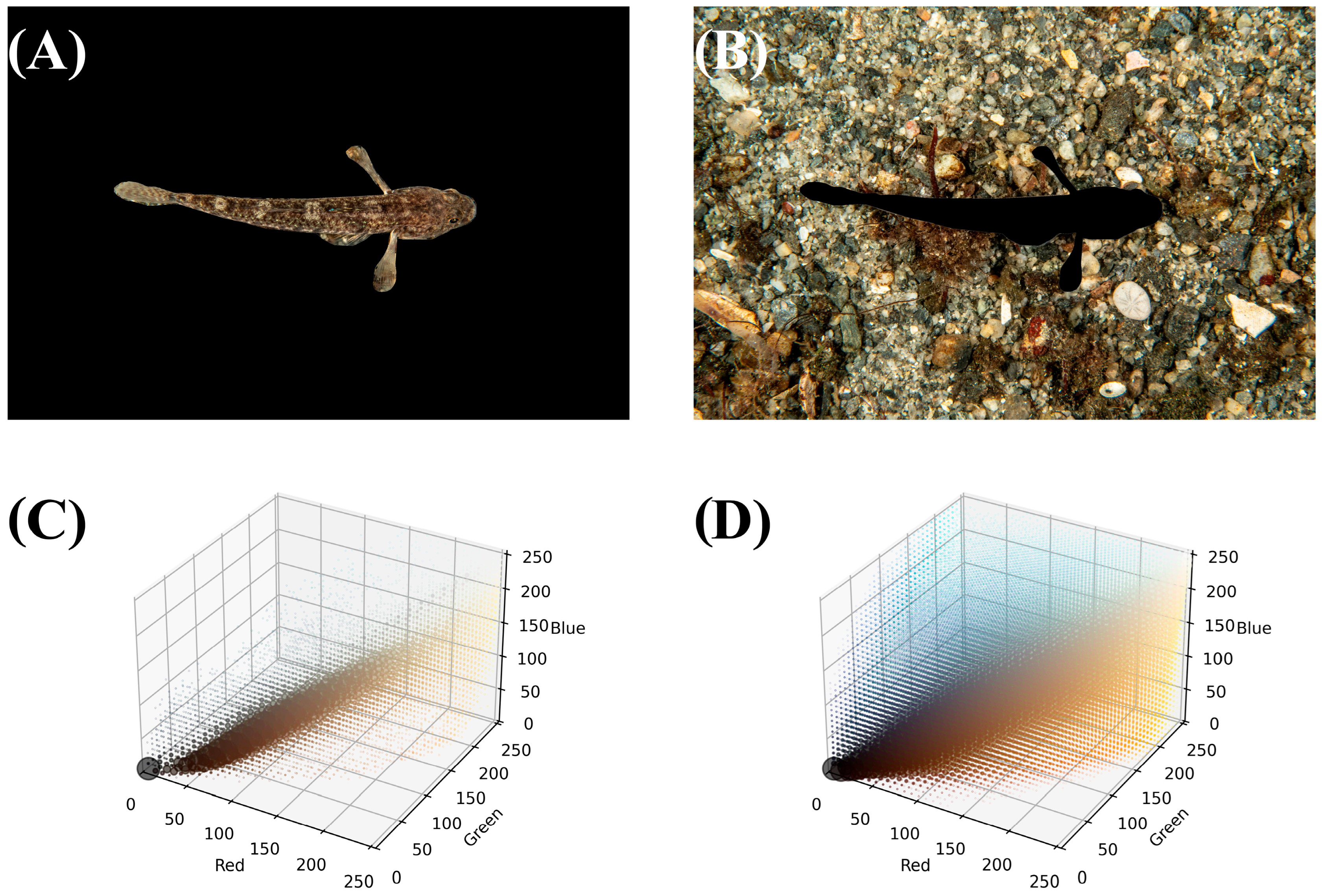 Jmse 13 01932 g002 Jmse 13 01932 g002