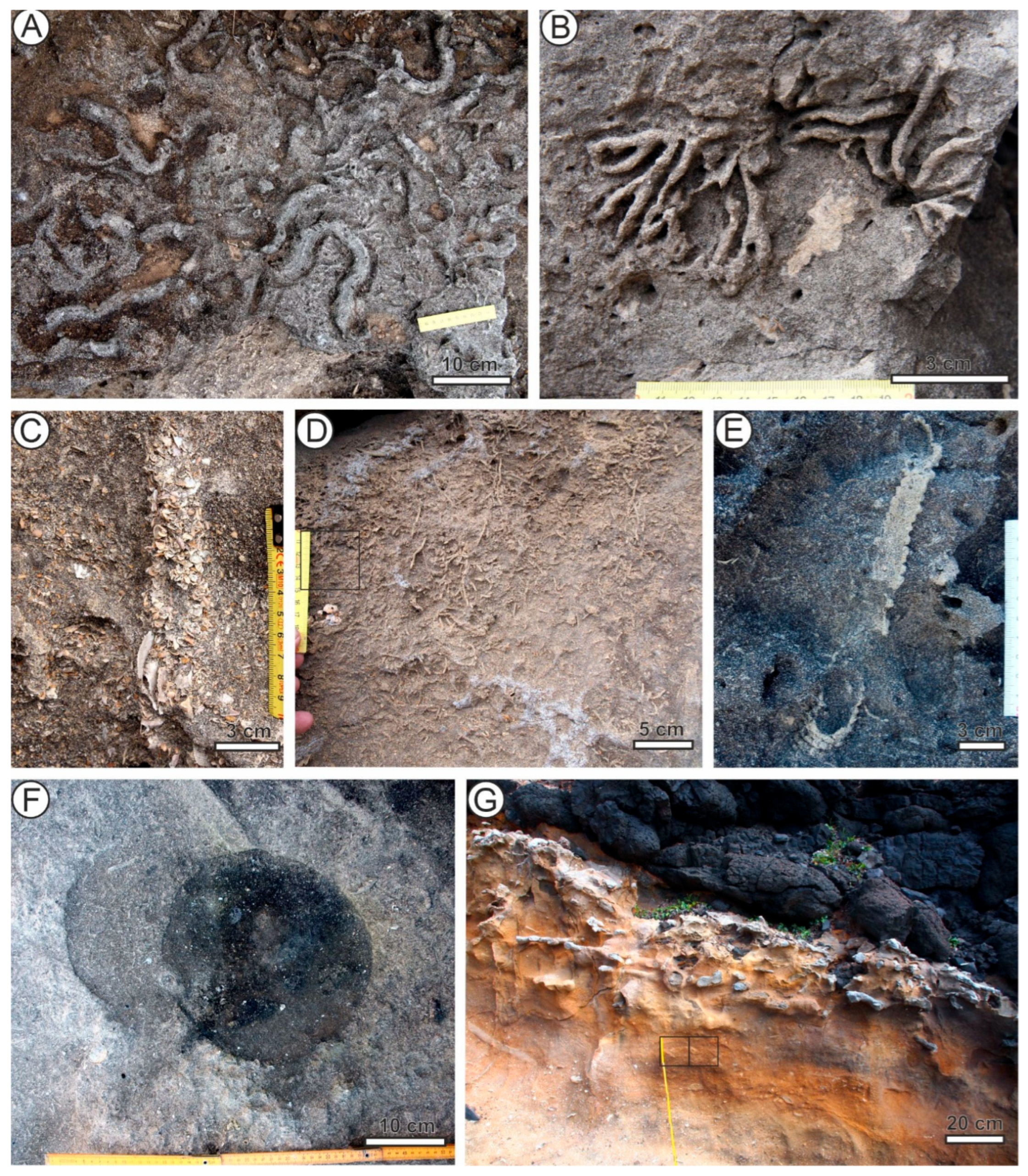 Jmse 13 01967 g002 Jmse 13 01967 g002