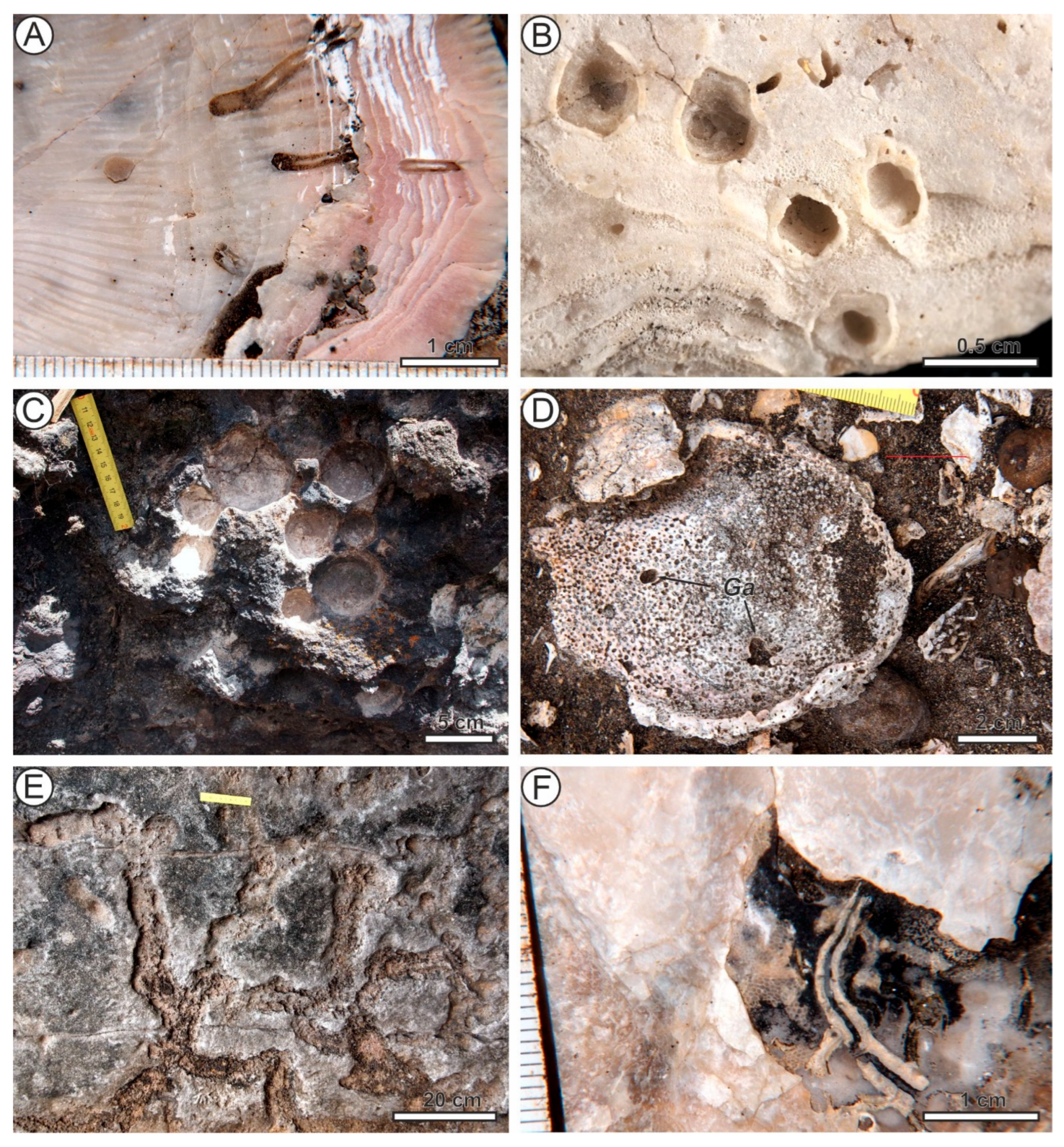 Jmse 13 01967 g003 Jmse 13 01967 g003