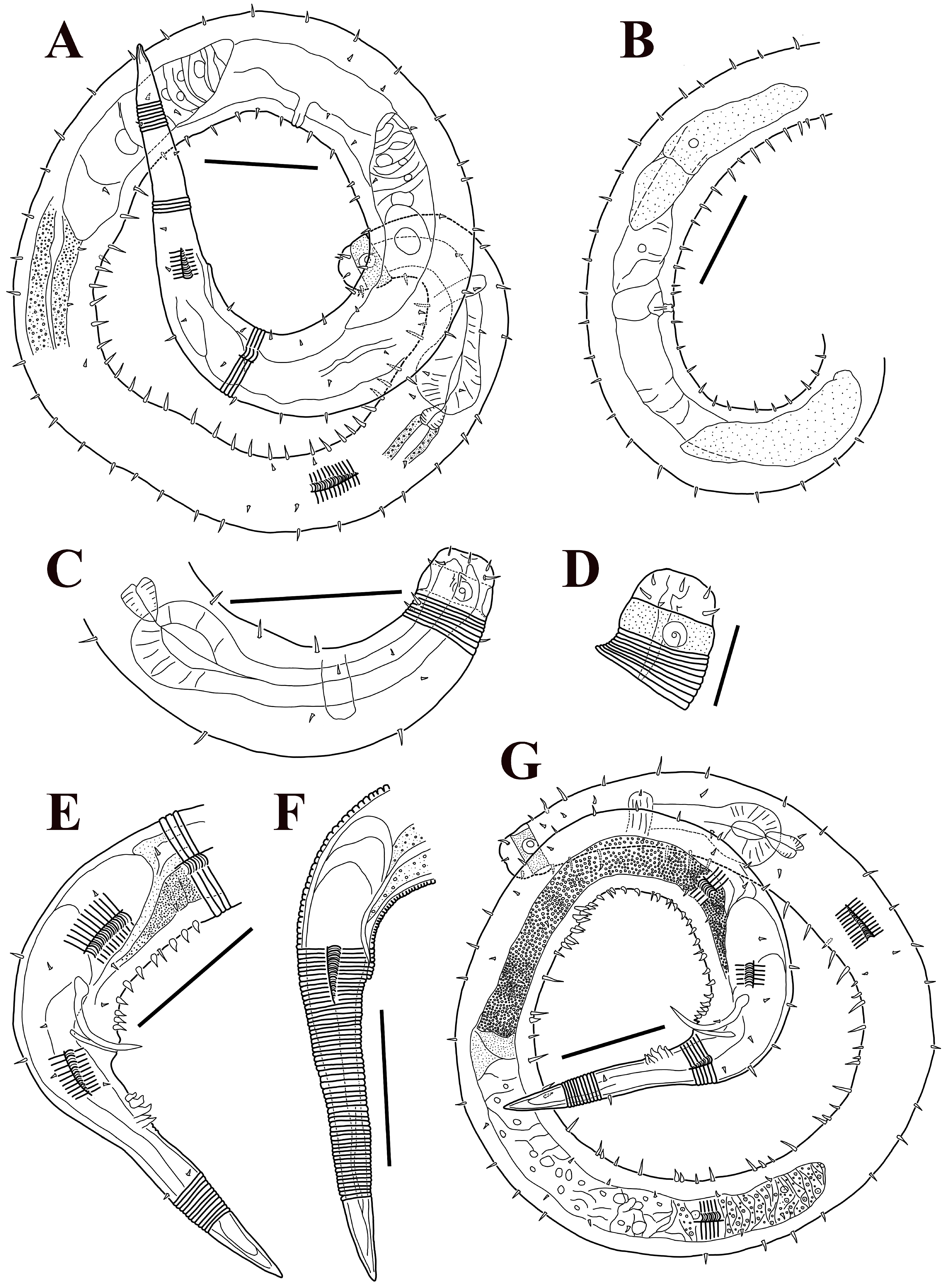Jmse 13 01980 g003